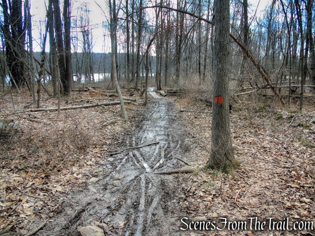 Orange Trail - Crescent Lake Recreation Area