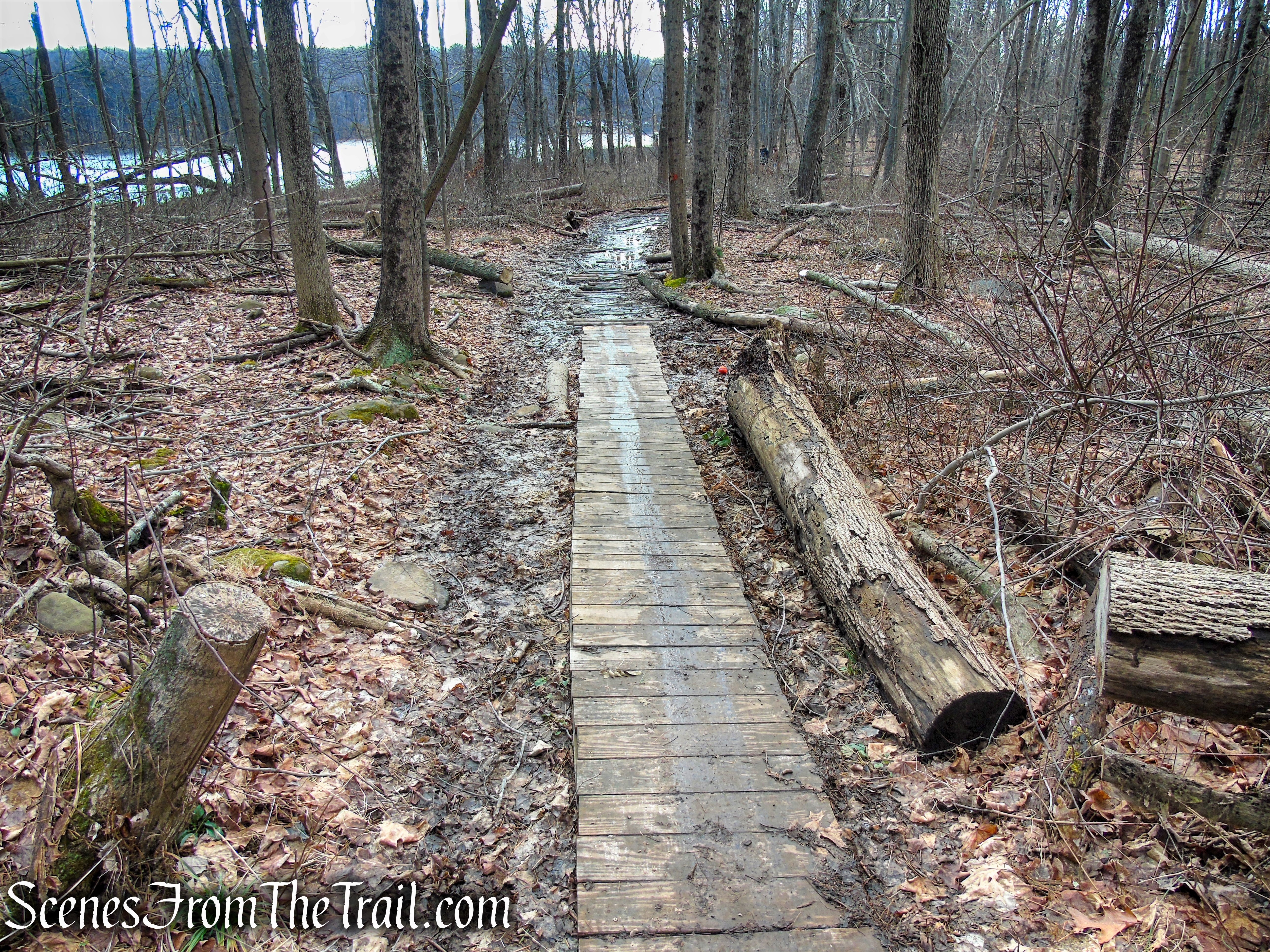 Orange Trail - Crescent Lake Recreation Area