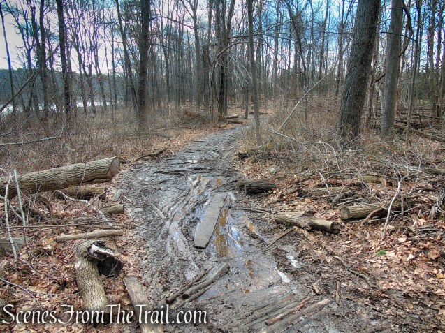 Orange Trail - Crescent Lake Recreation Area