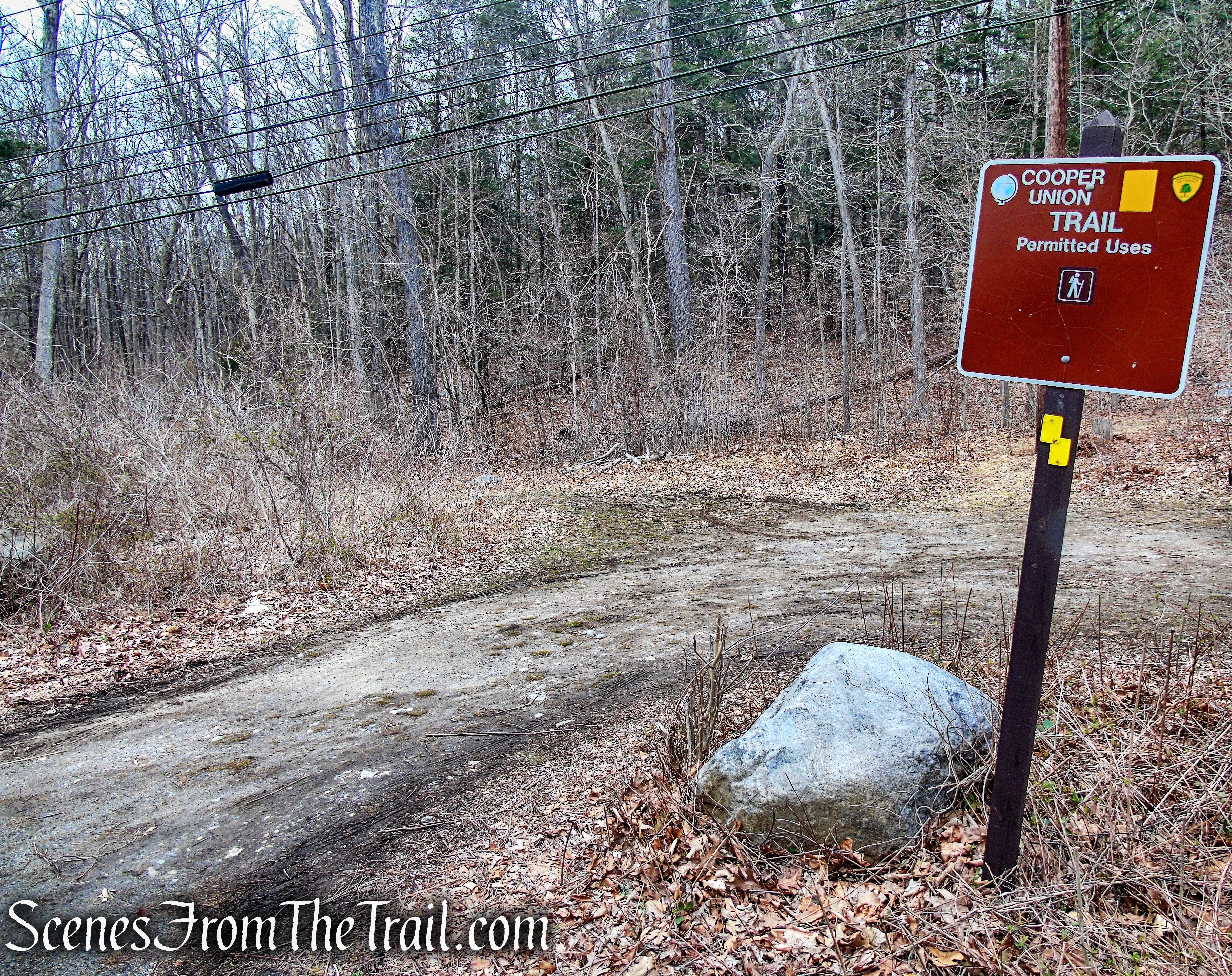 Cooper Union Trail - Carletondale Road