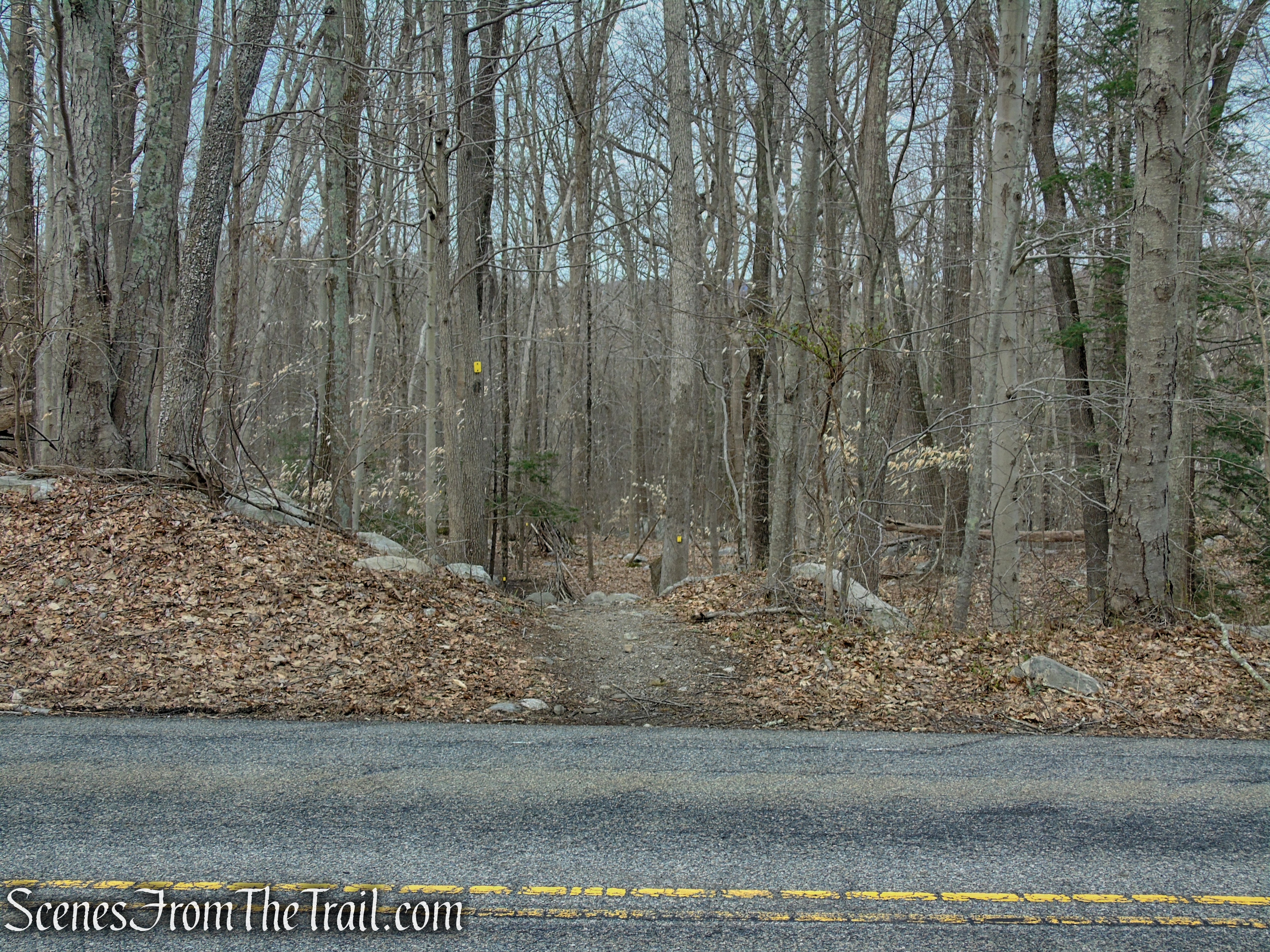 Cooper Union Trail - Carletondale Road