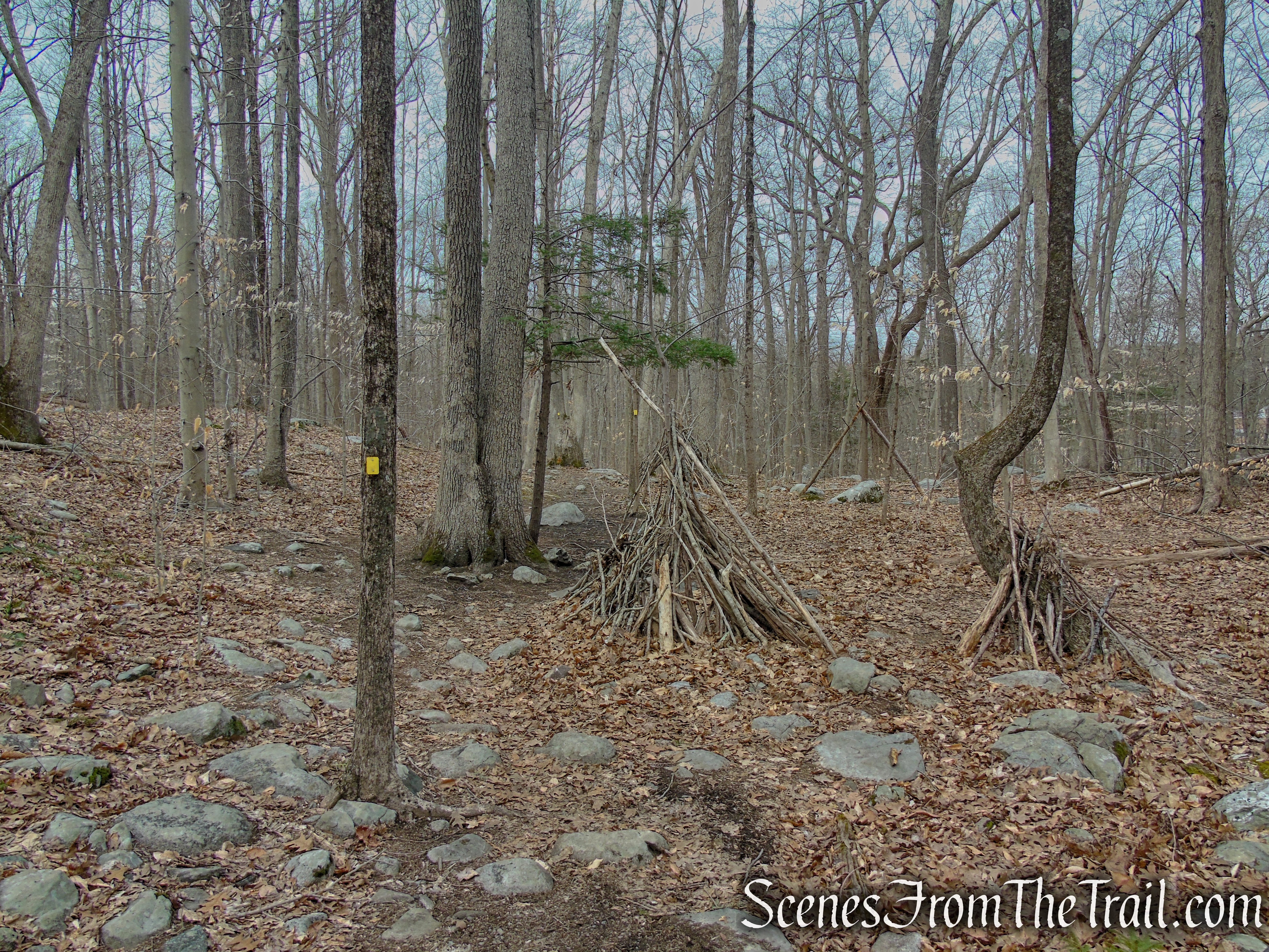 Cooper Union Trail – Ringwood State Park