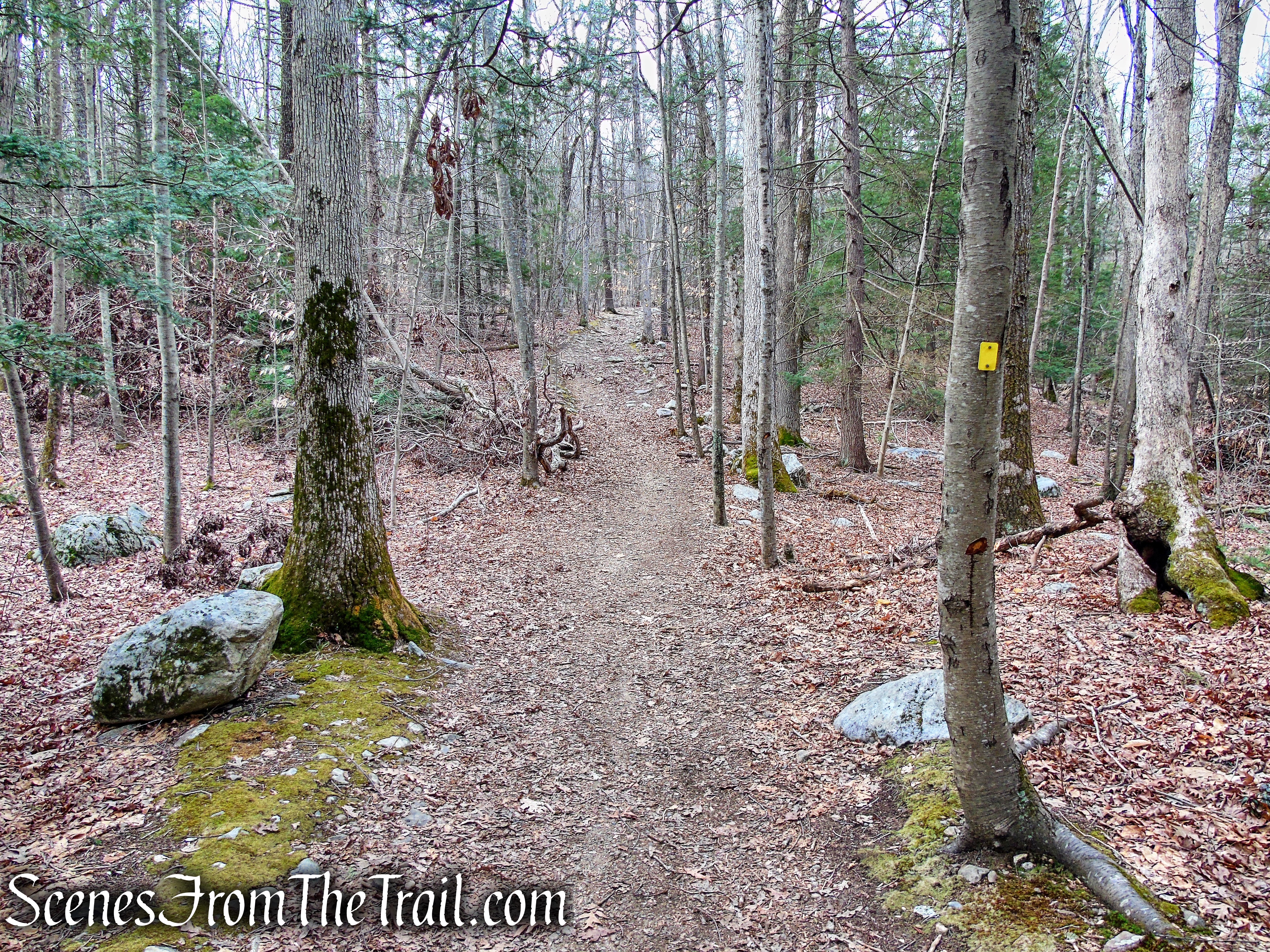 Cooper Union Trail – Ringwood State Park