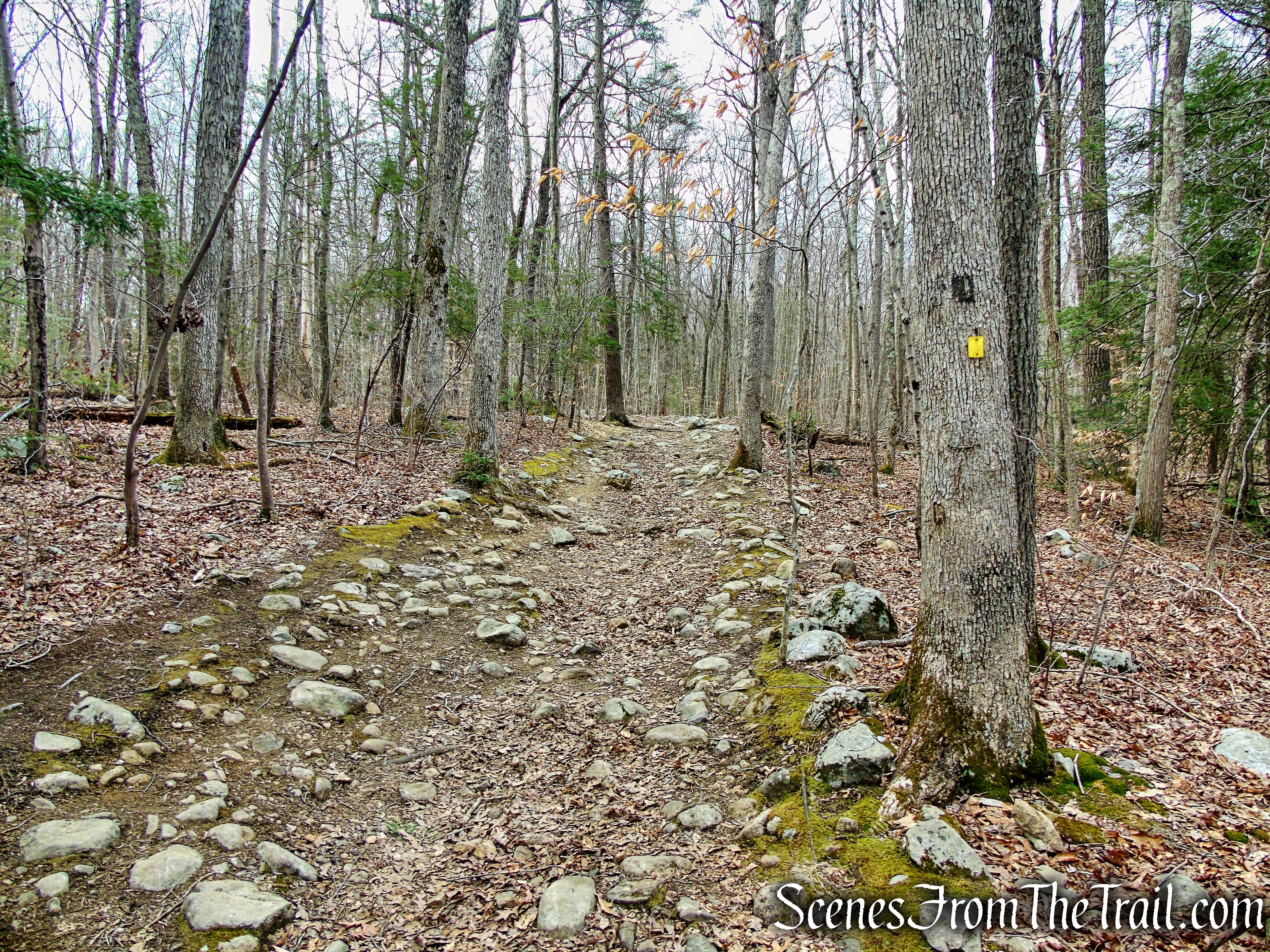 Cooper Union Trail – Ringwood State Park