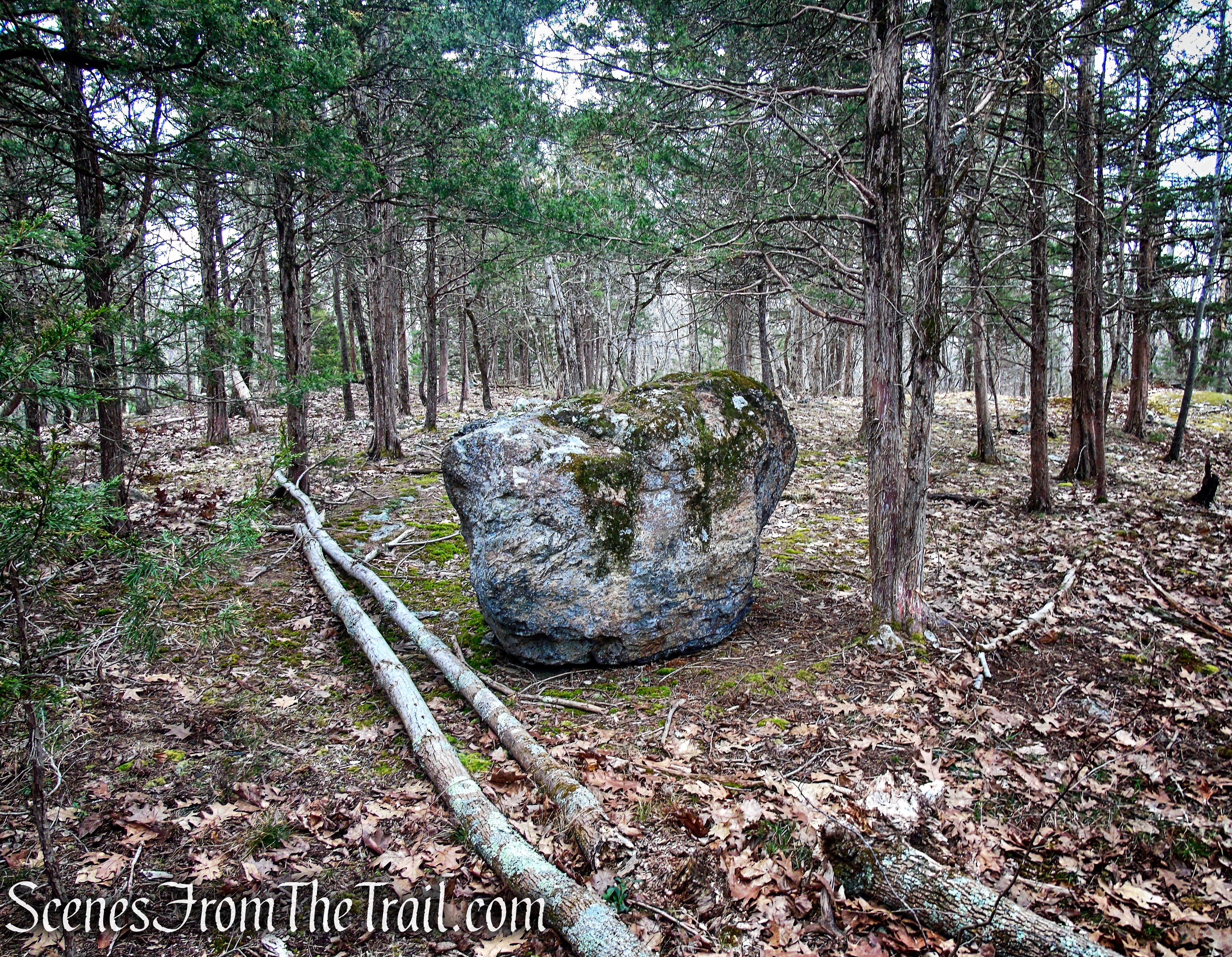 Cooper Union Trail – Ringwood State Park
