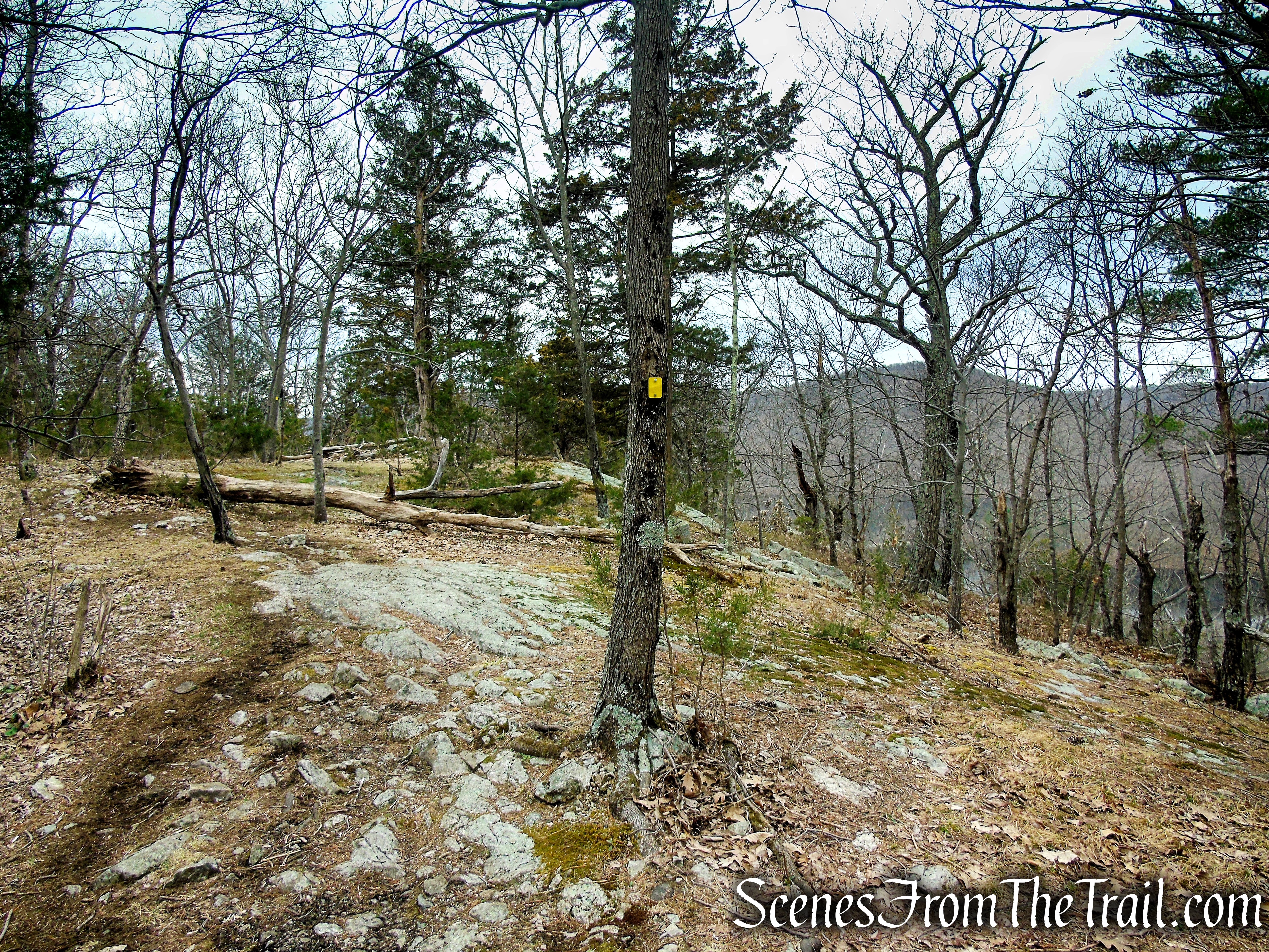 Cooper Union Trail – Ringwood State Park