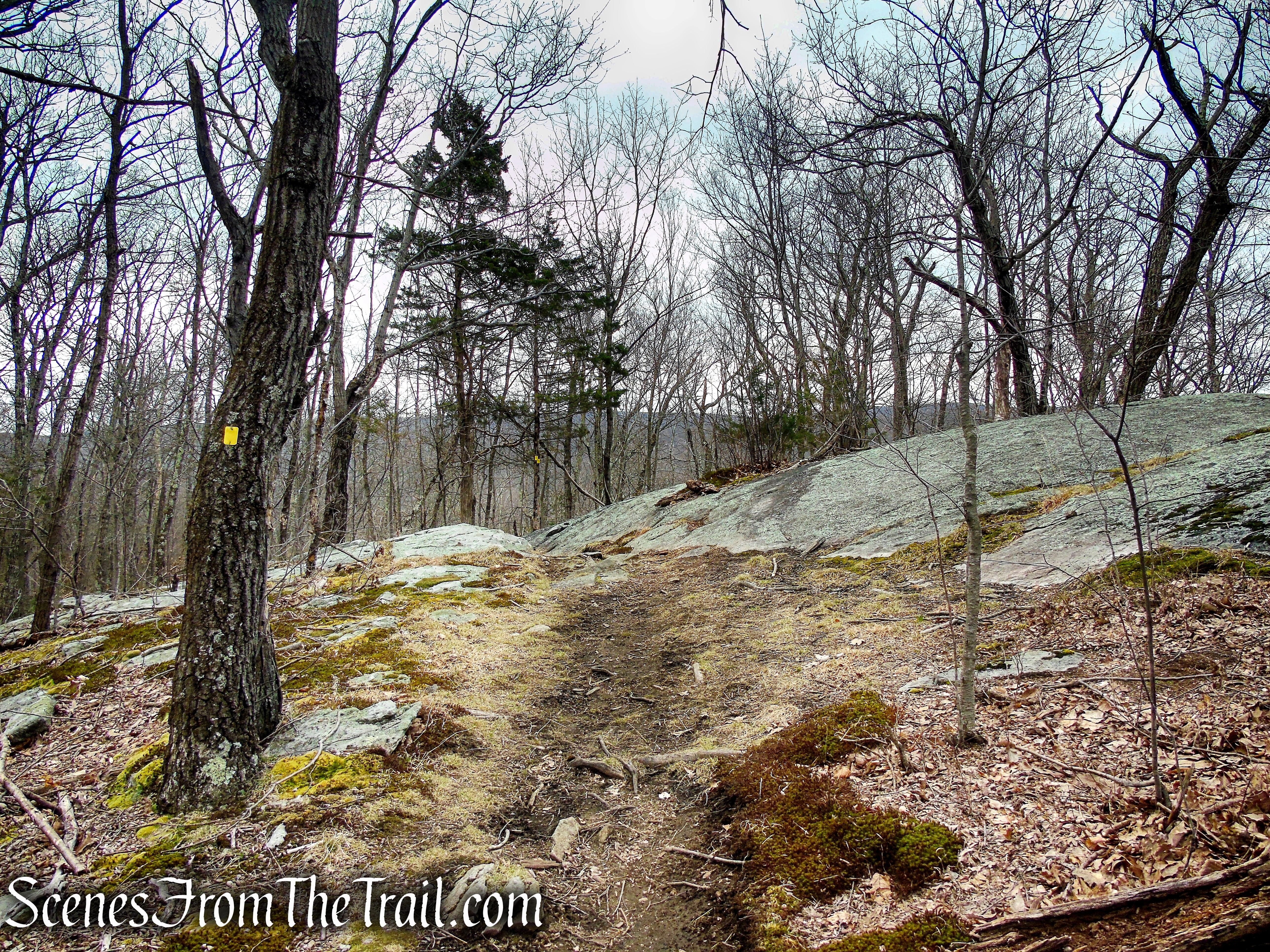 Cooper Union Trail – Ringwood State Park