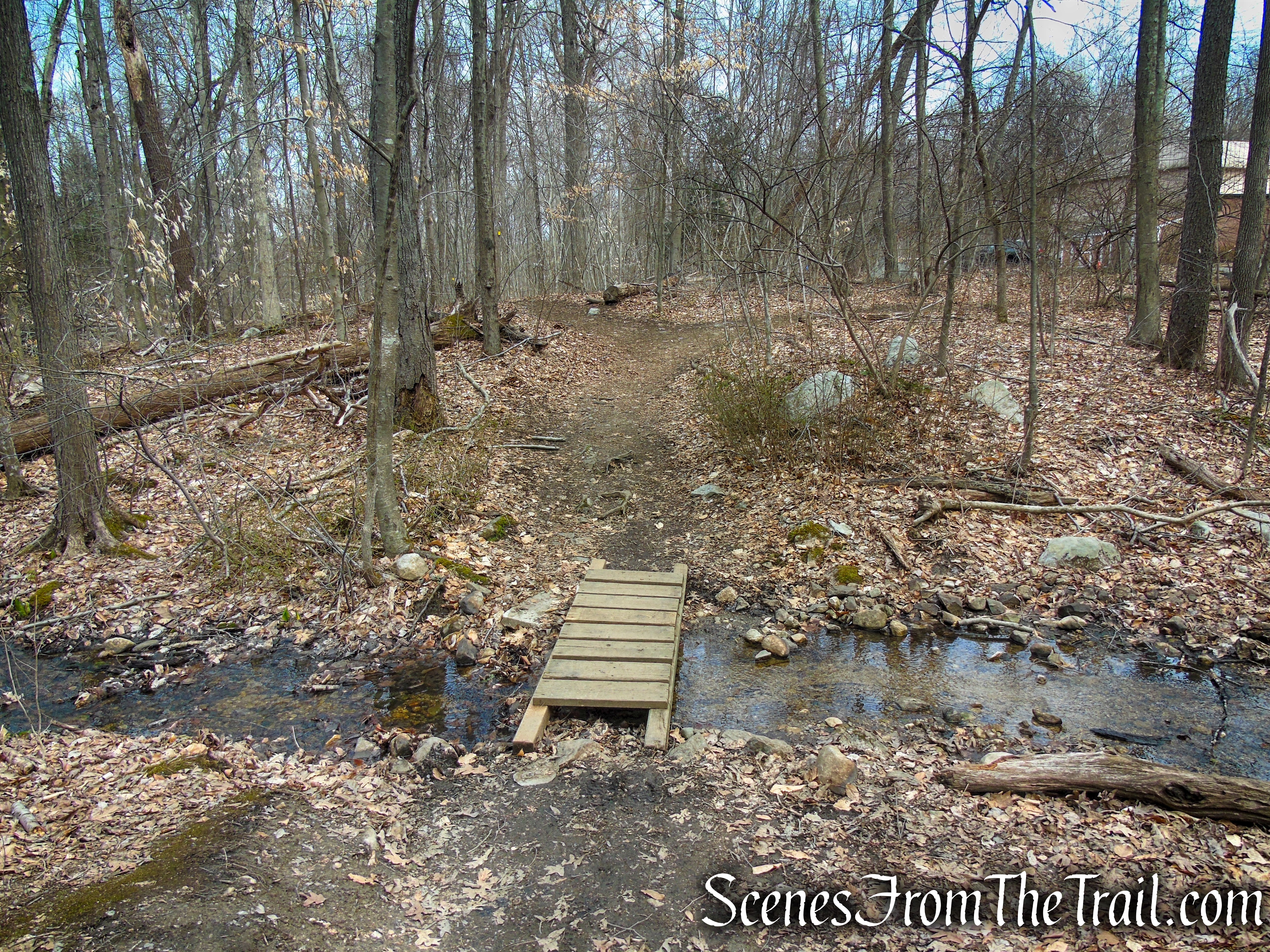 Cooper Union Trail – Ringwood State Park