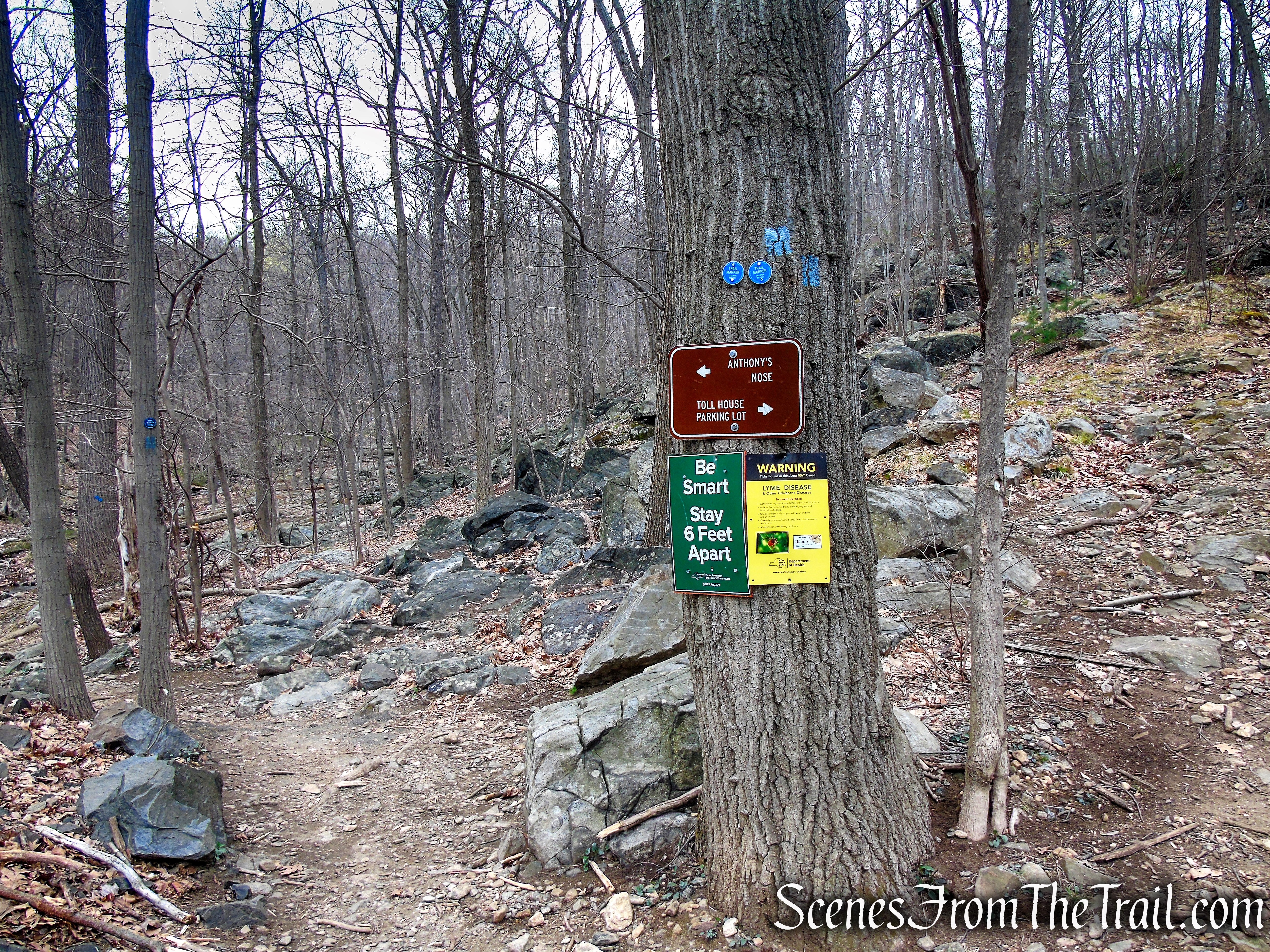 Camp Smith Trail - Anthony’s Nose
