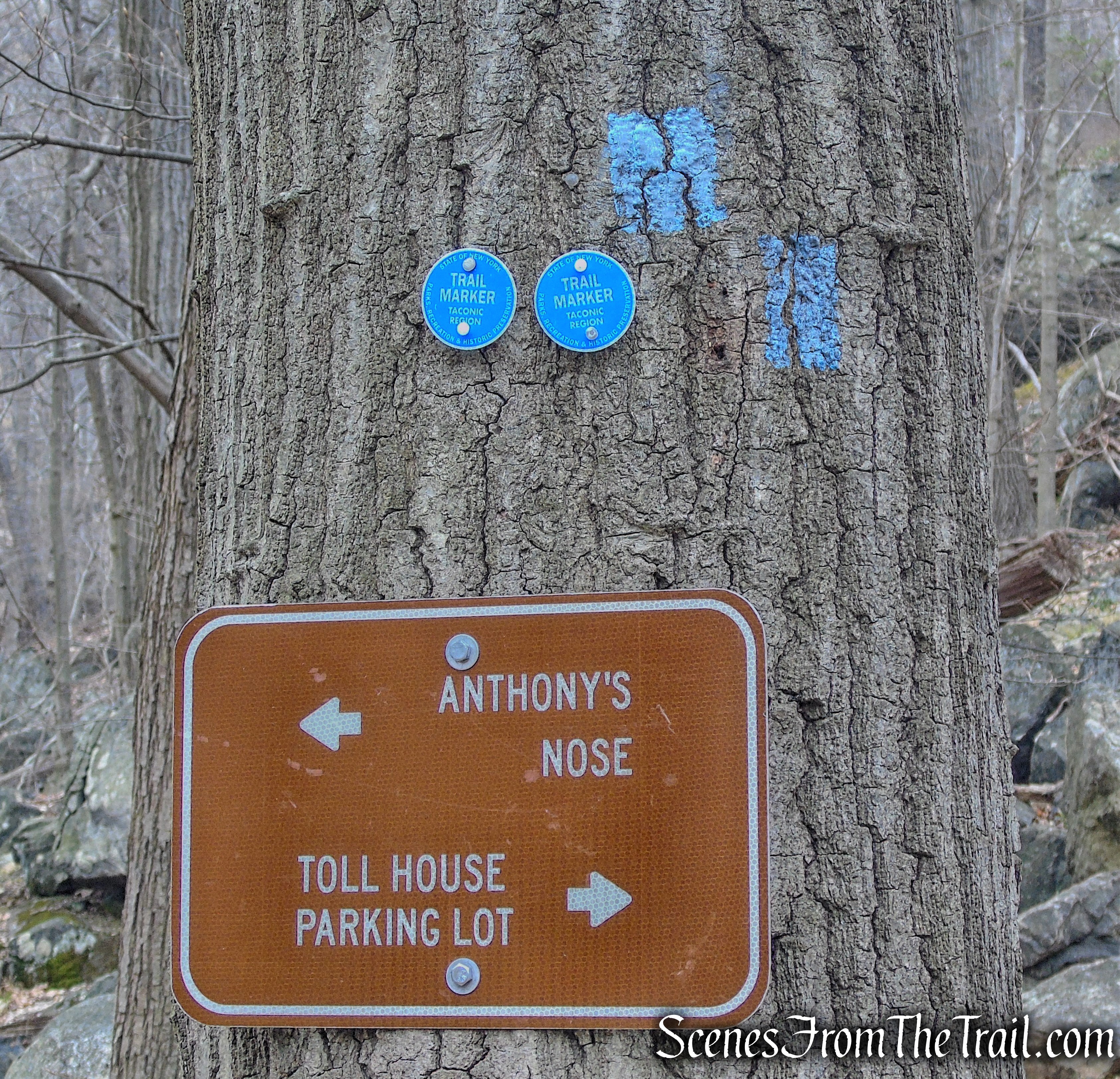 Camp Smith Trail - Anthony’s Nose