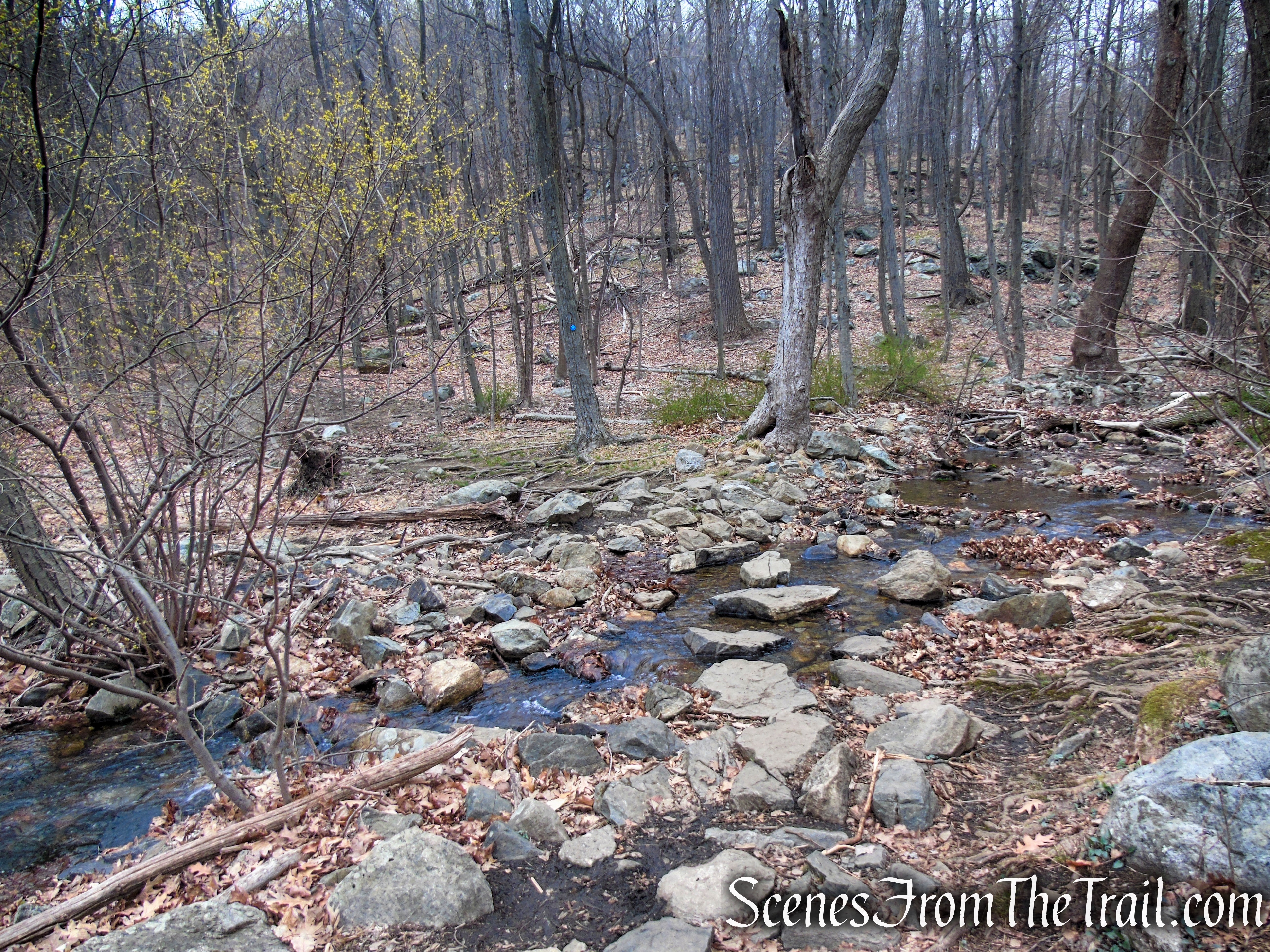 Camp Smith Trail - Anthony’s Nose