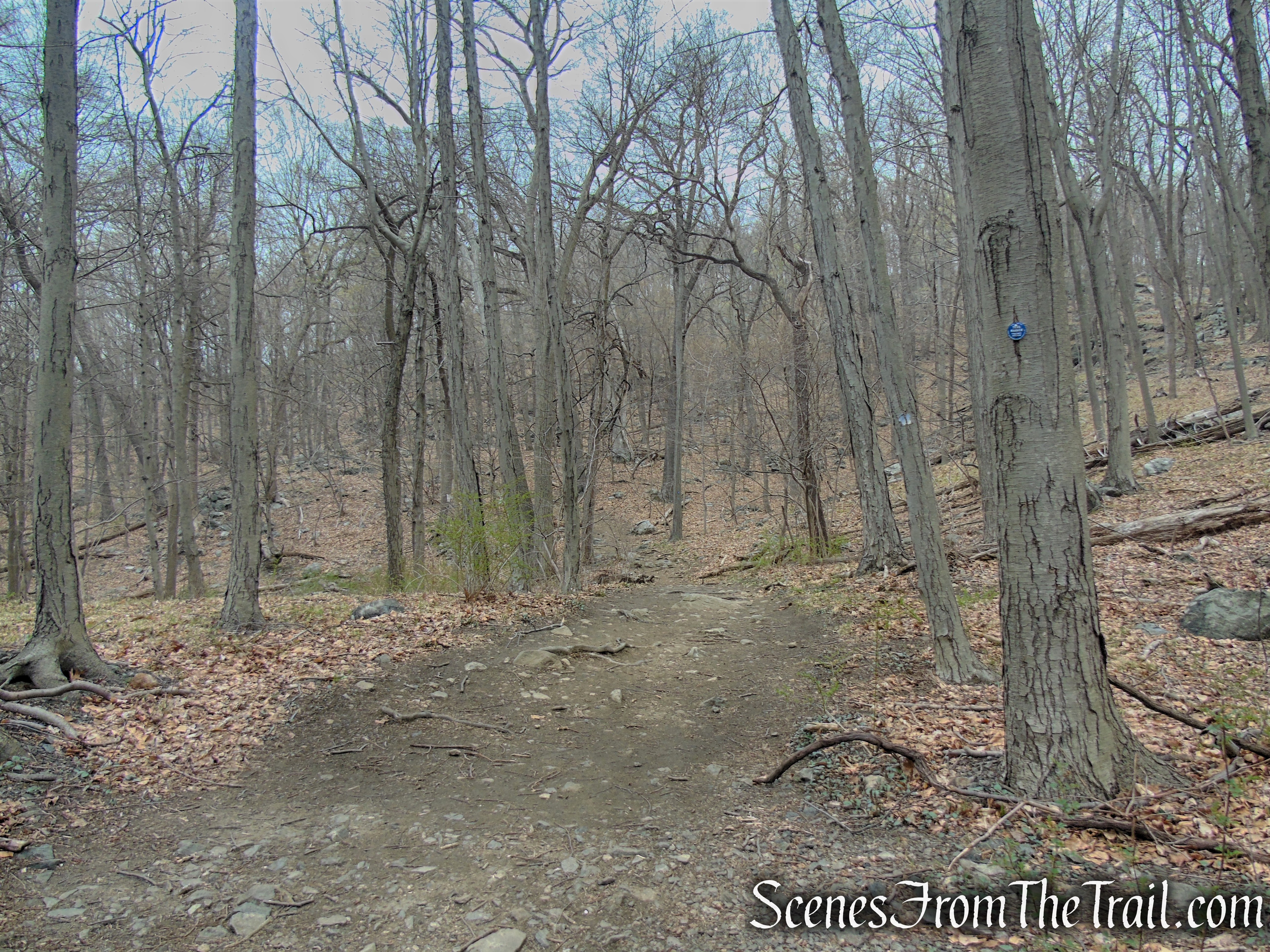 Camp Smith Trail - Anthony’s Nose