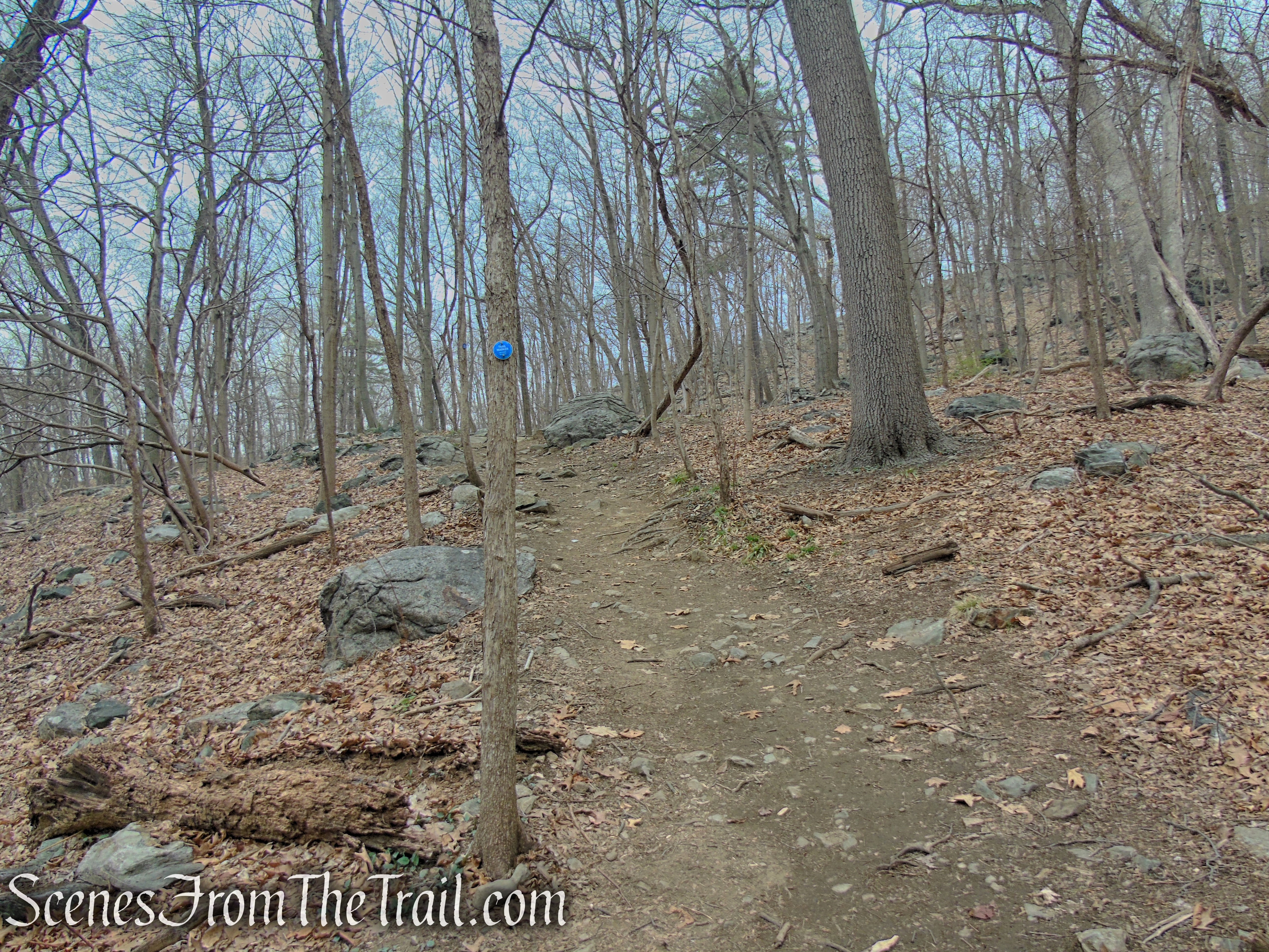 Camp Smith Trail - Anthony’s Nose