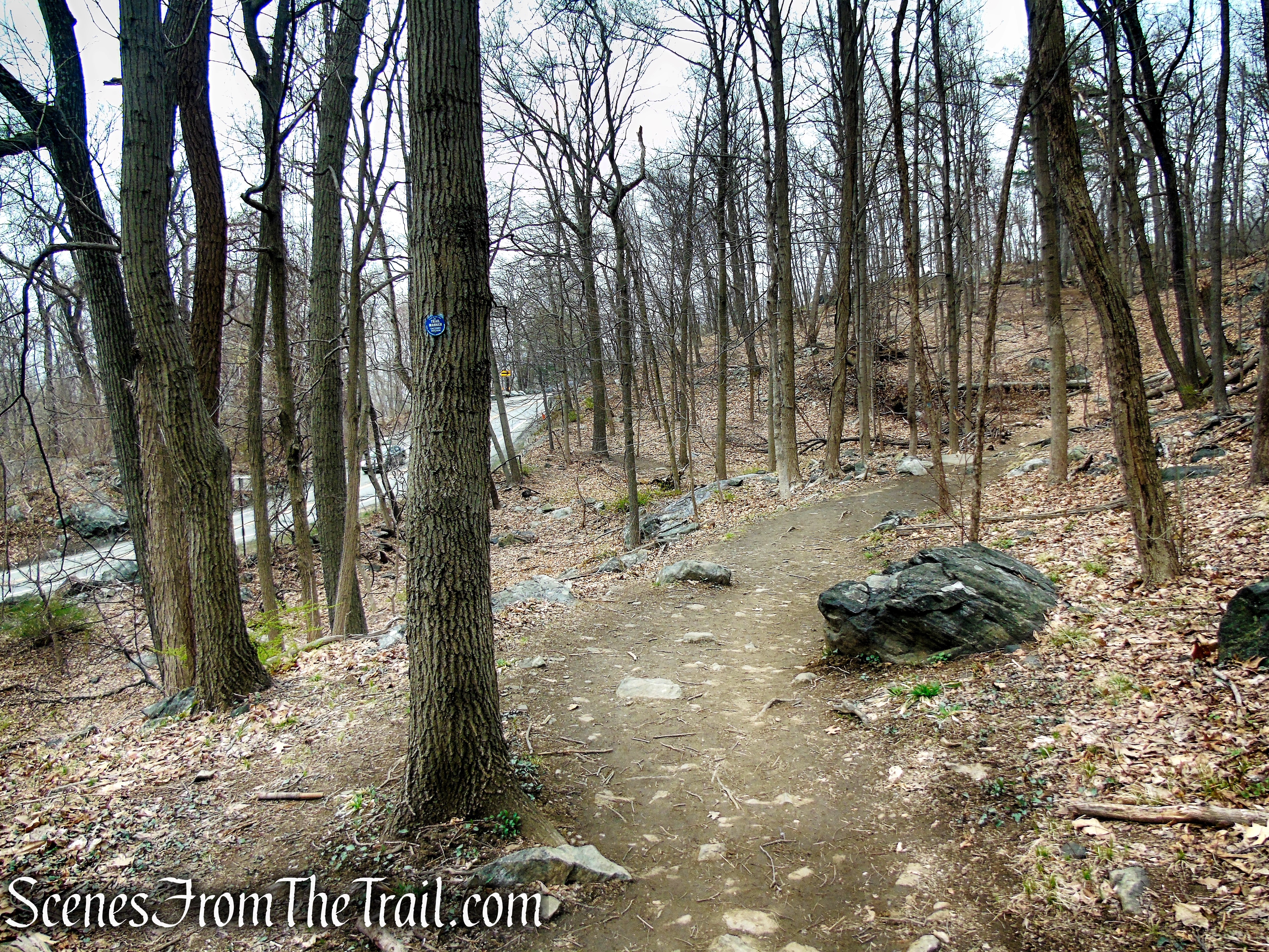 Camp Smith Trail - Anthony’s Nose