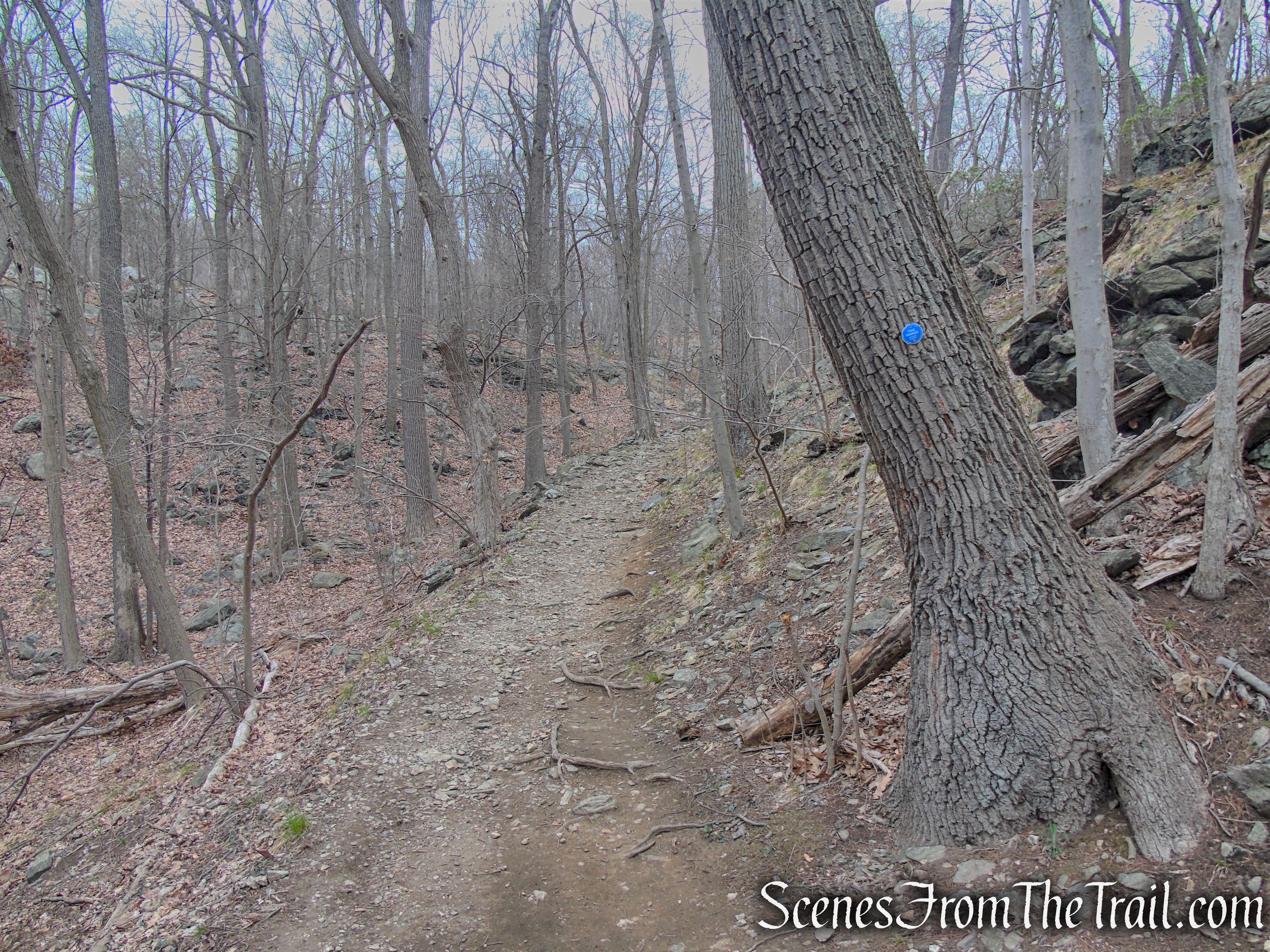 Camp Smith Trail - Anthony’s Nose