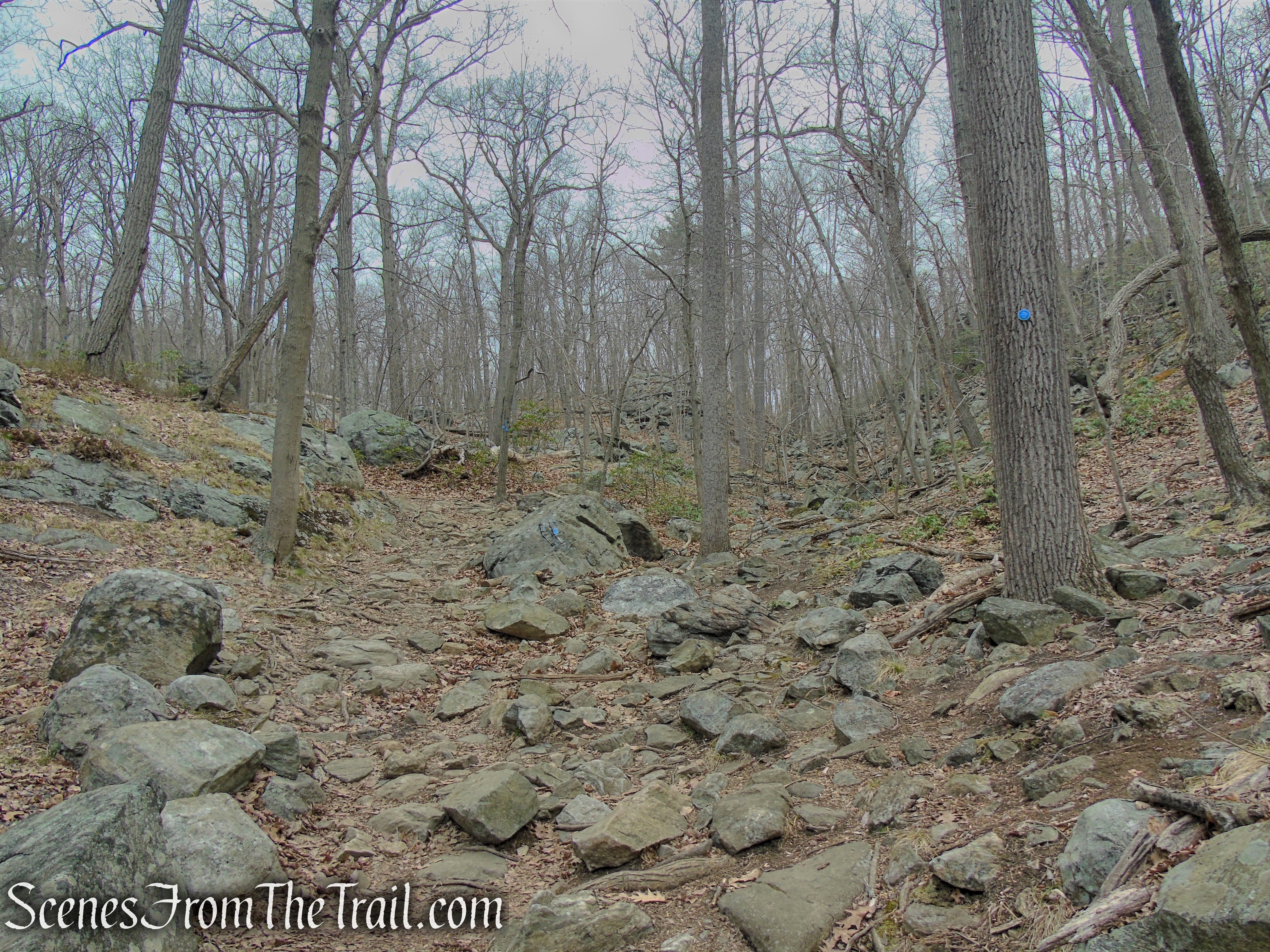 Camp Smith Trail - Anthony’s Nose