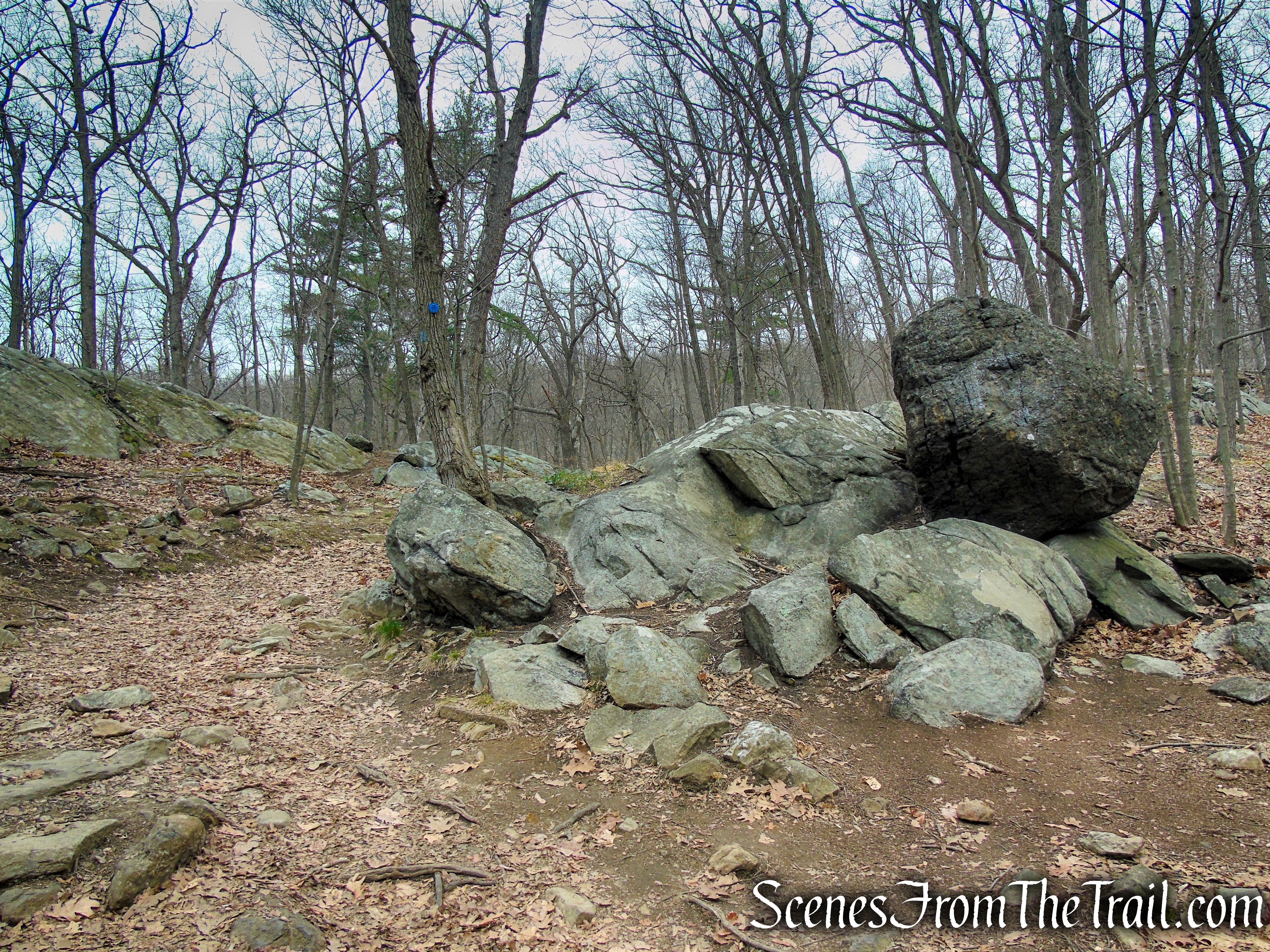 Camp Smith Trail - Anthony’s Nose