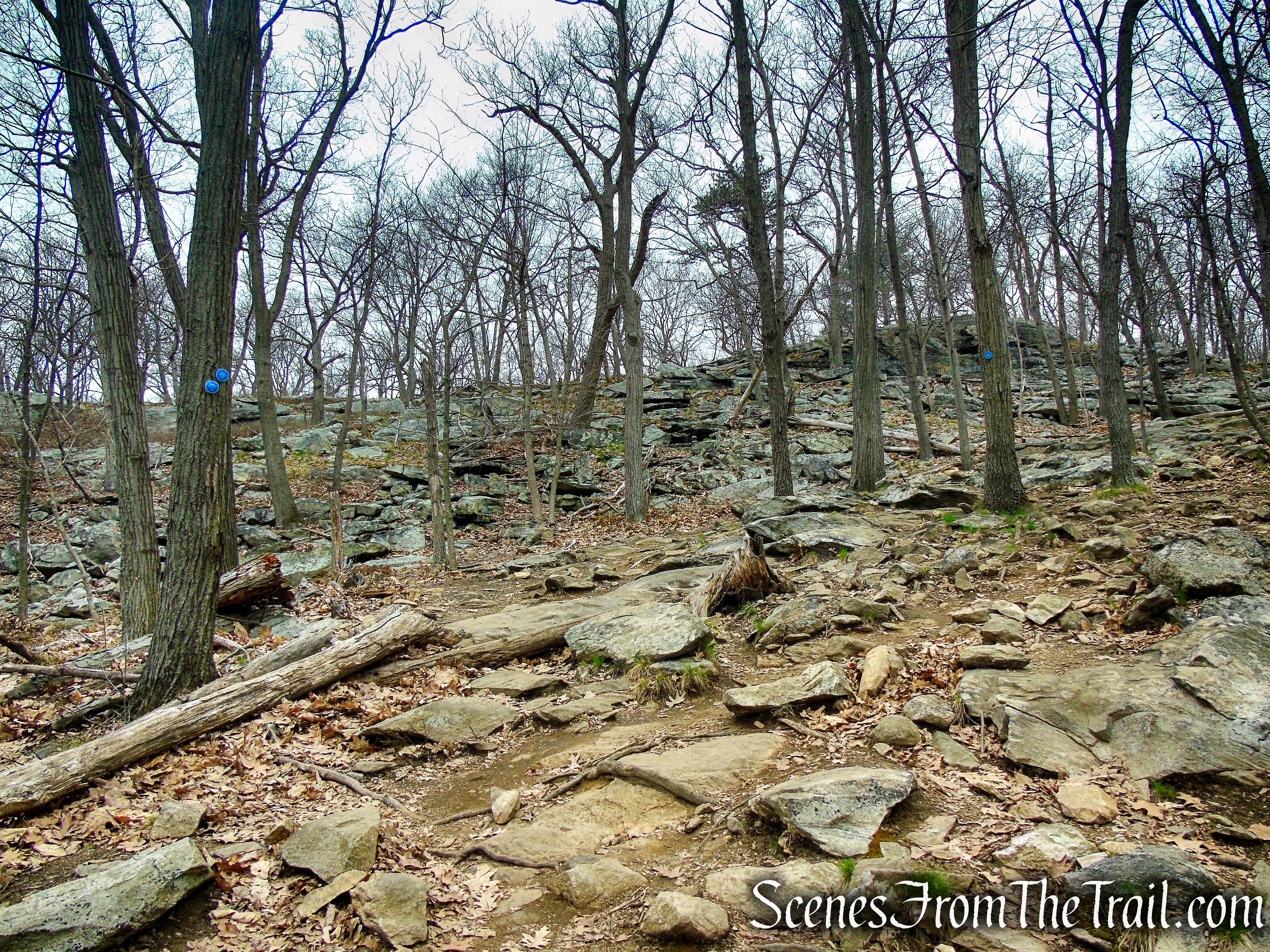 Camp Smith Trail - Anthony’s Nose