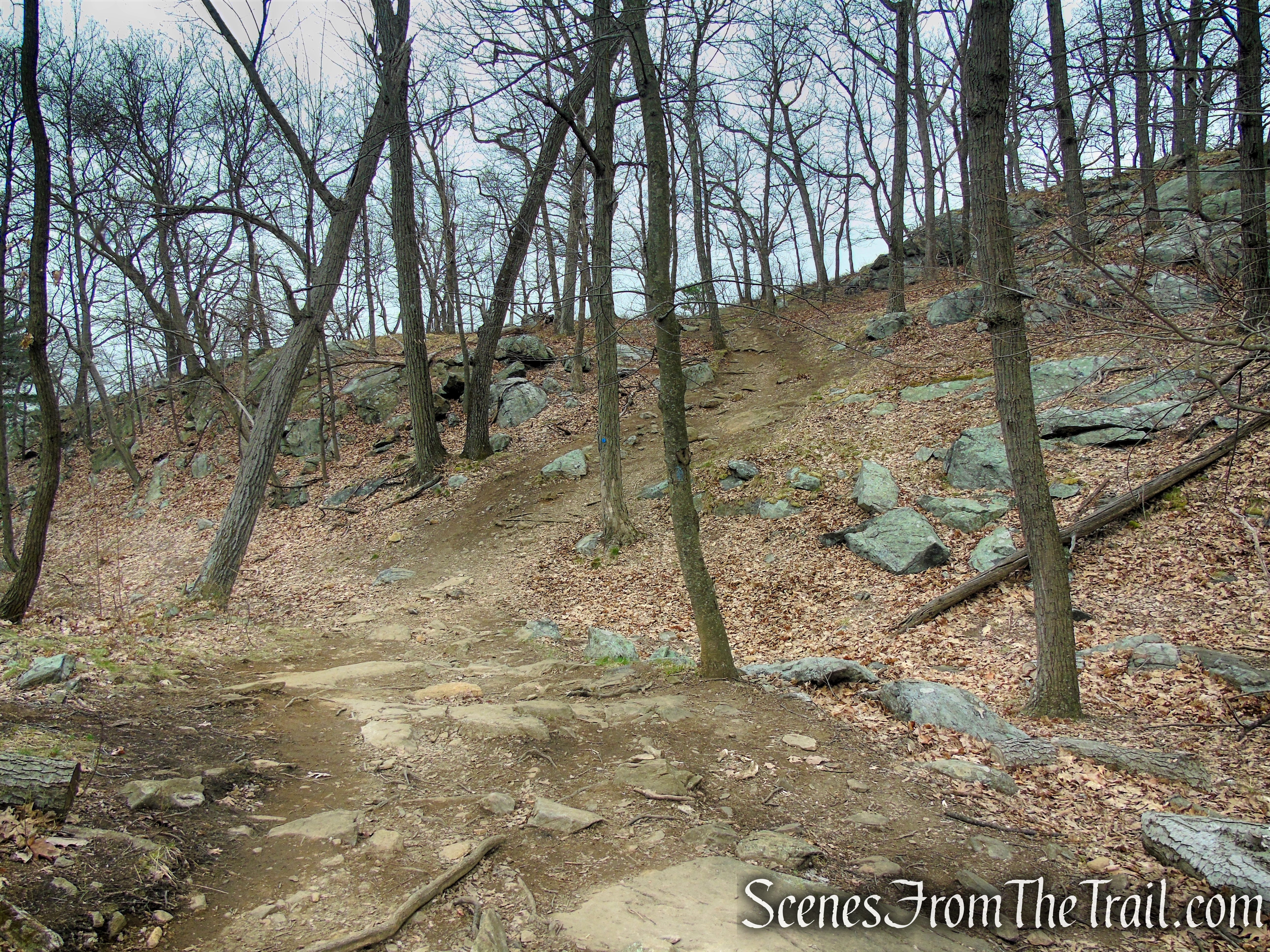 Camp Smith Trail - Anthony’s Nose