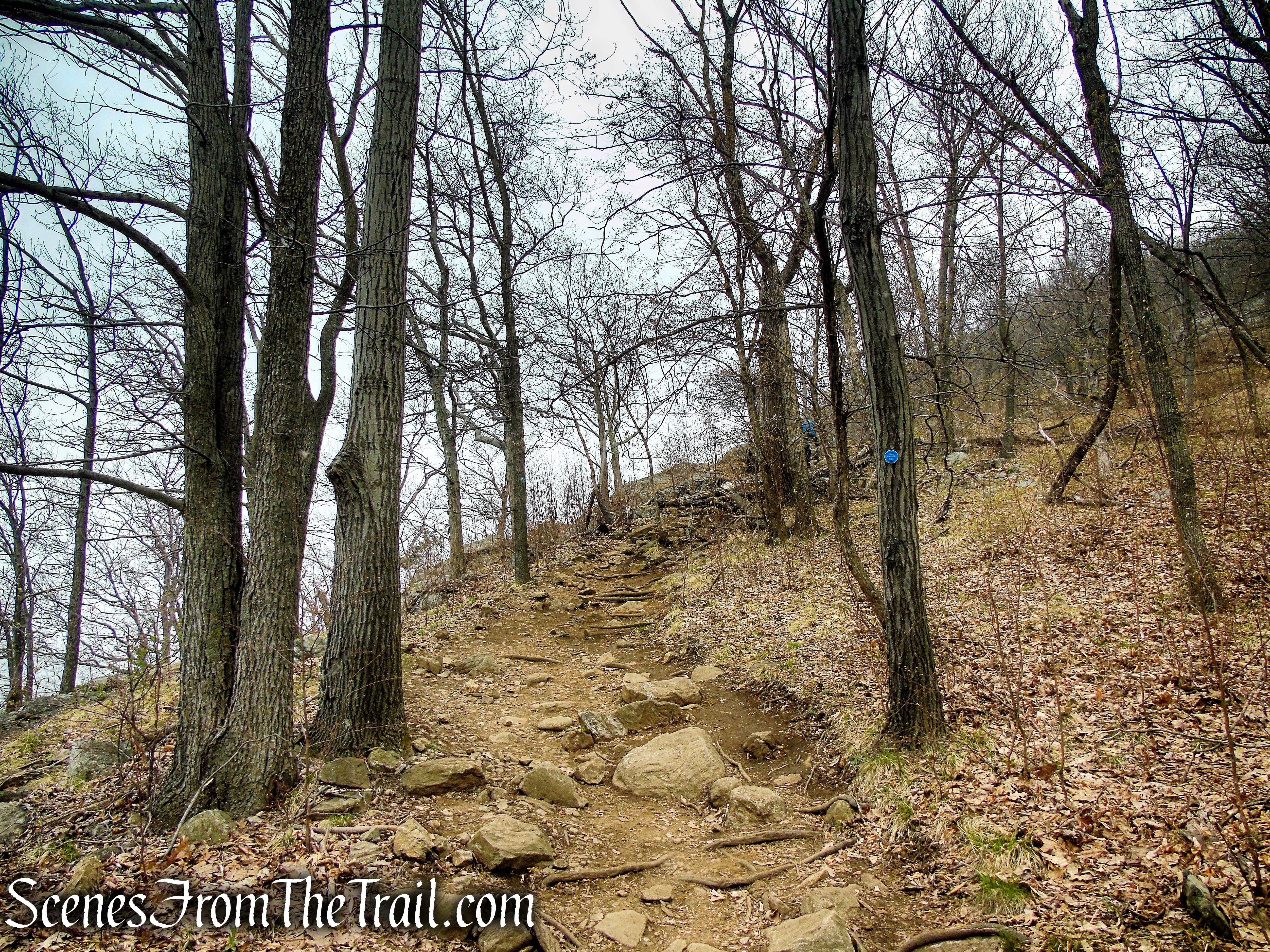 Camp Smith Trail - Anthony’s Nose