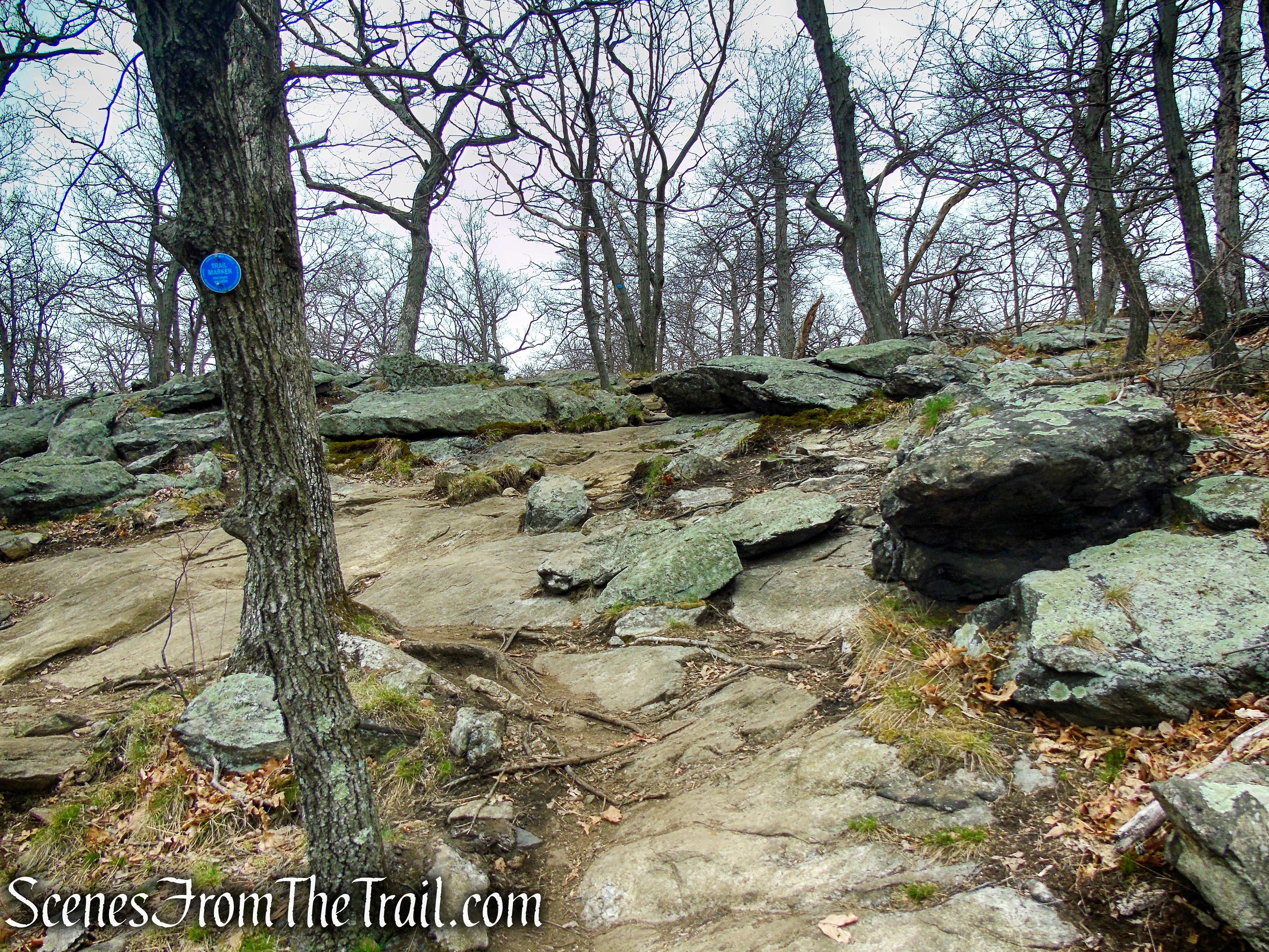 Camp Smith Trail - Anthony’s Nose