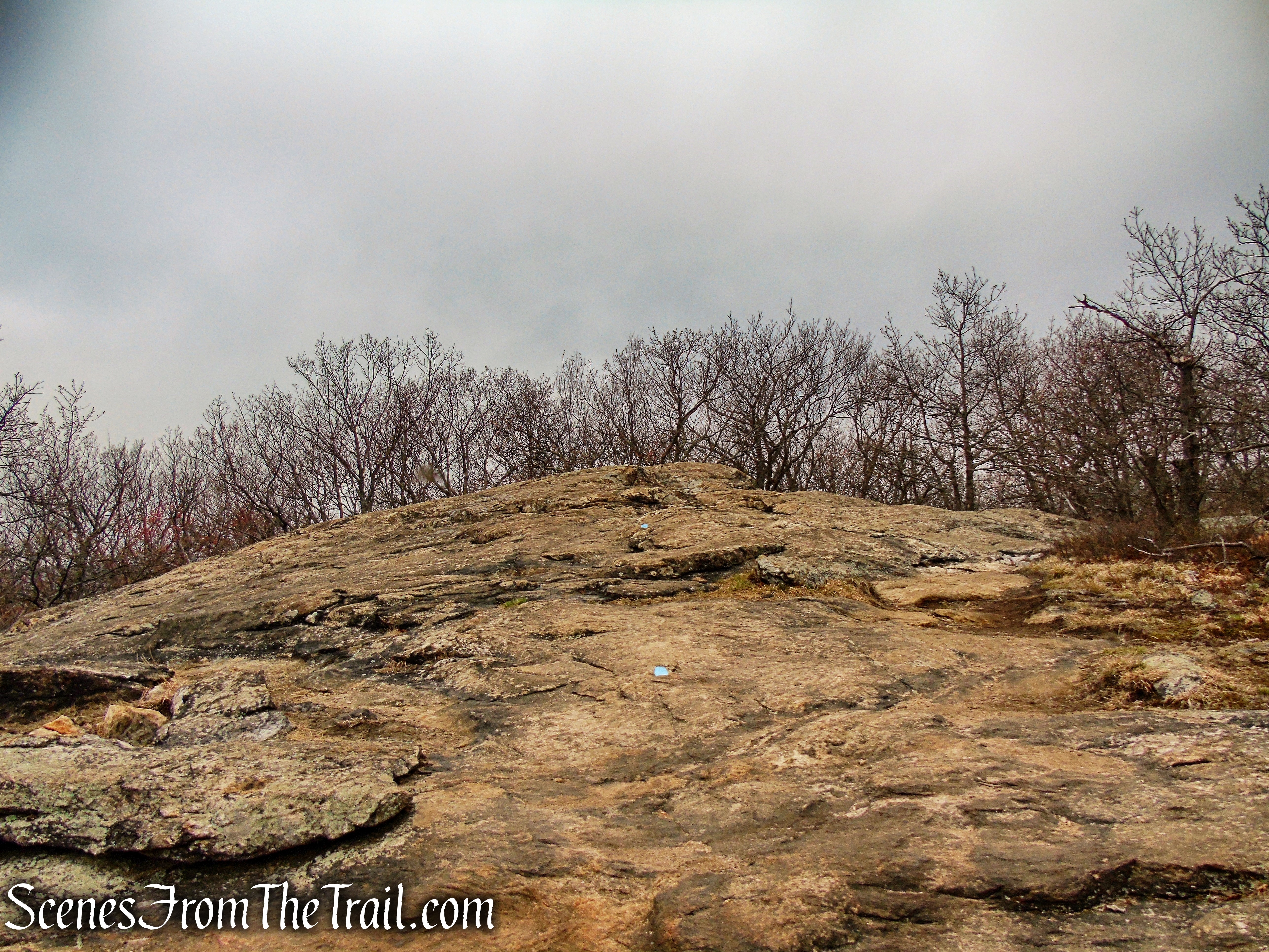 Anthony’s Nose summit