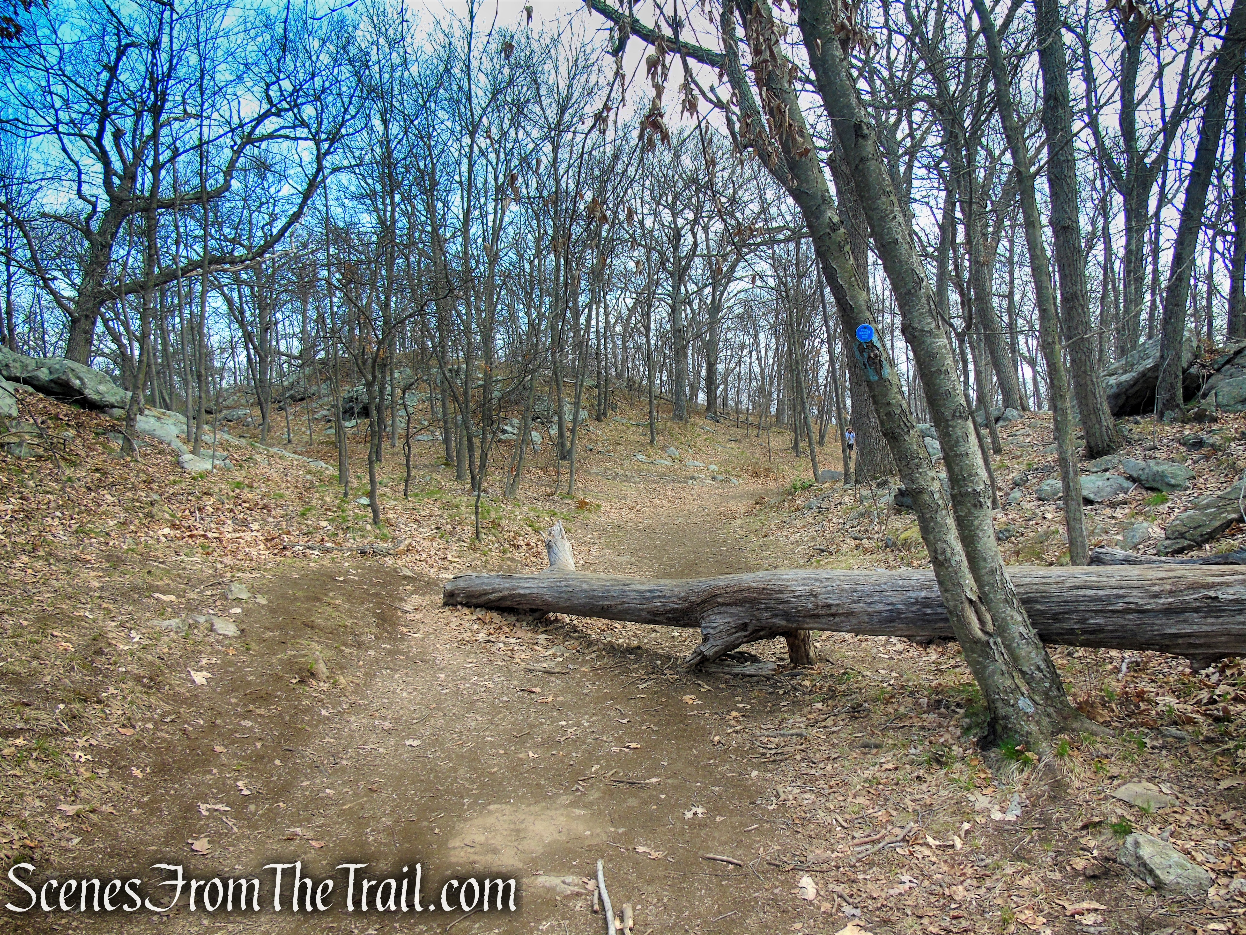 Camp Smith Trail - Anthony’s Nose