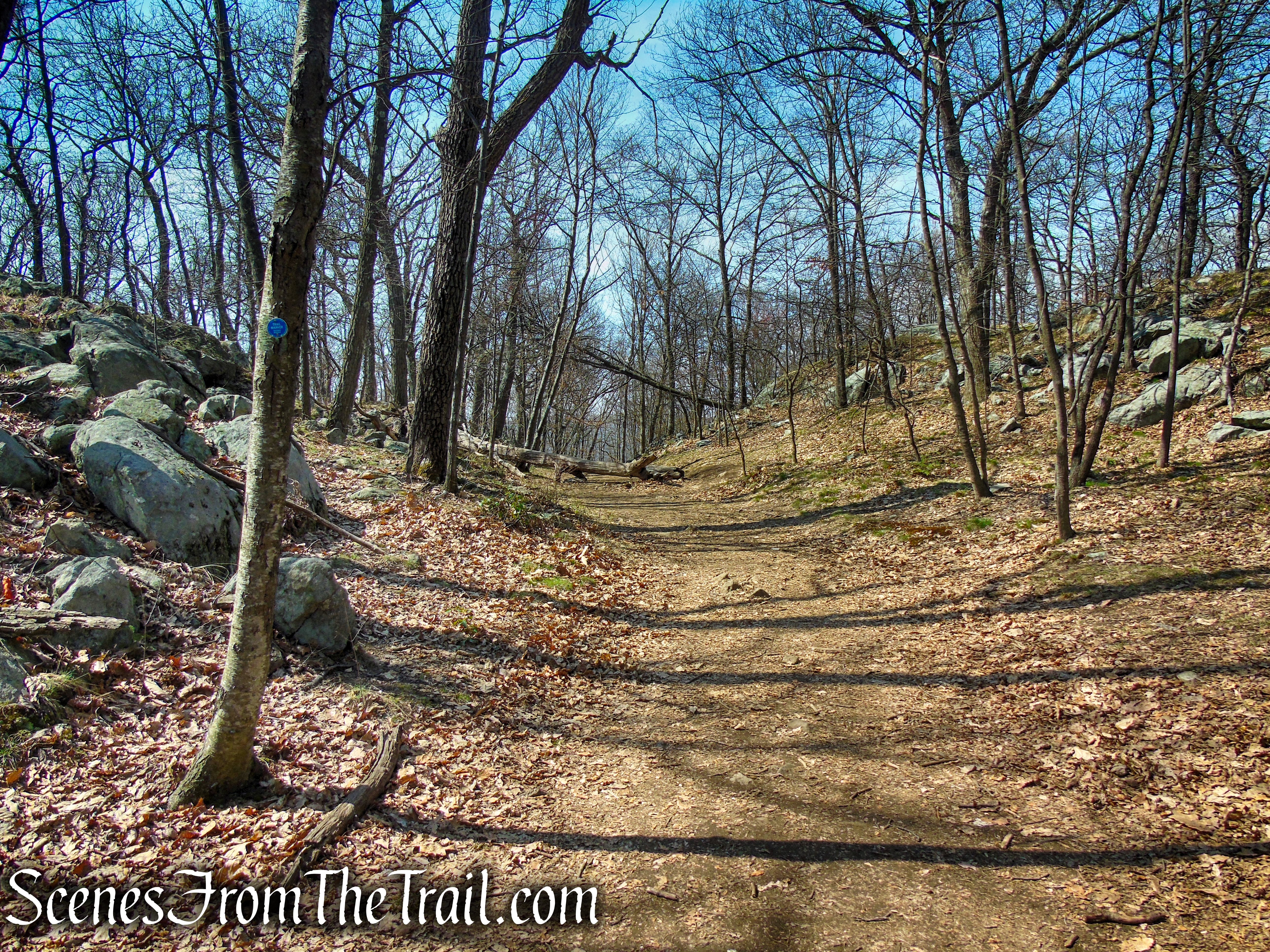 Camp Smith Trail - Anthony’s Nose
