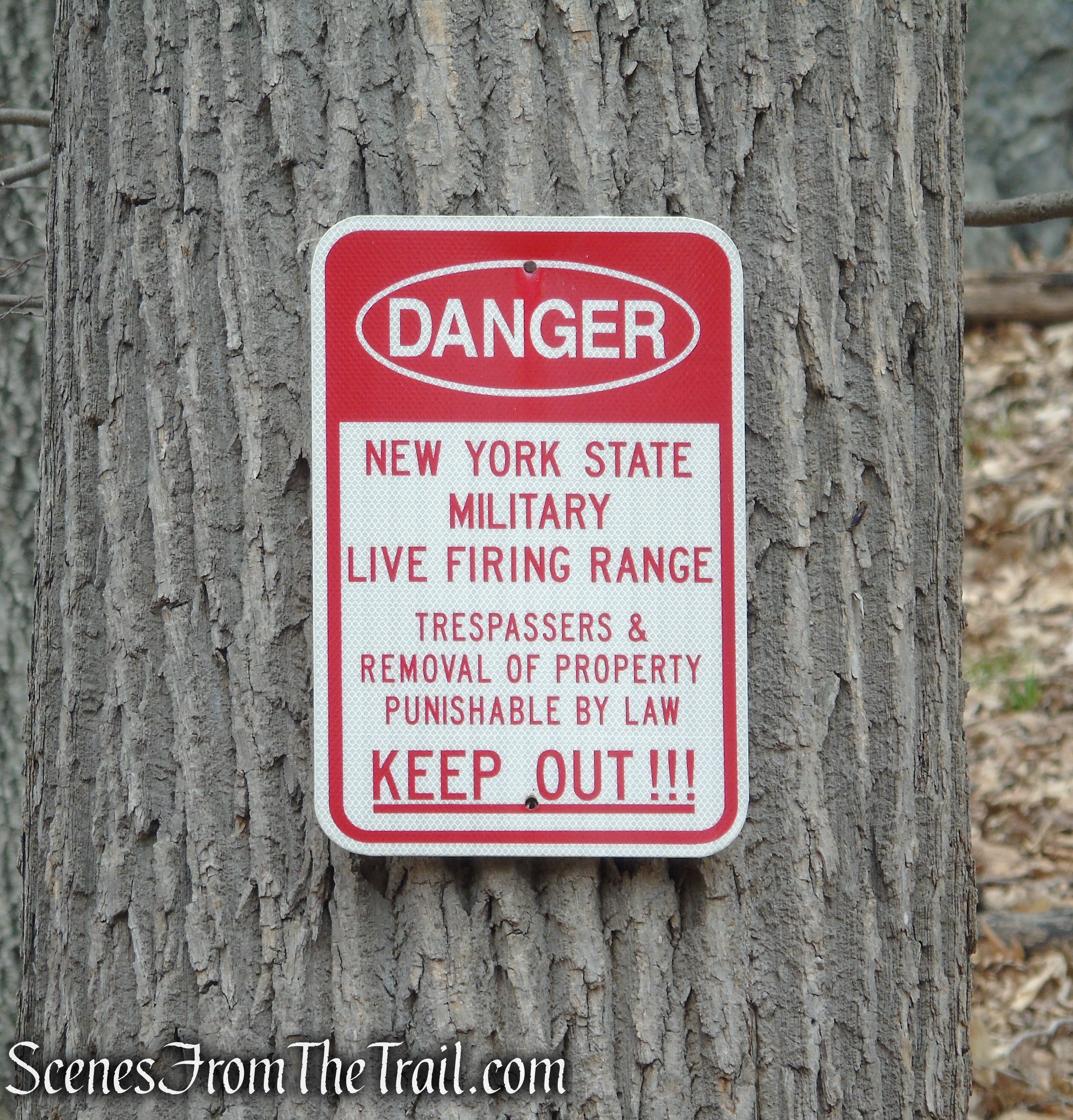 Camp Smith Trail - Anthony’s Nose