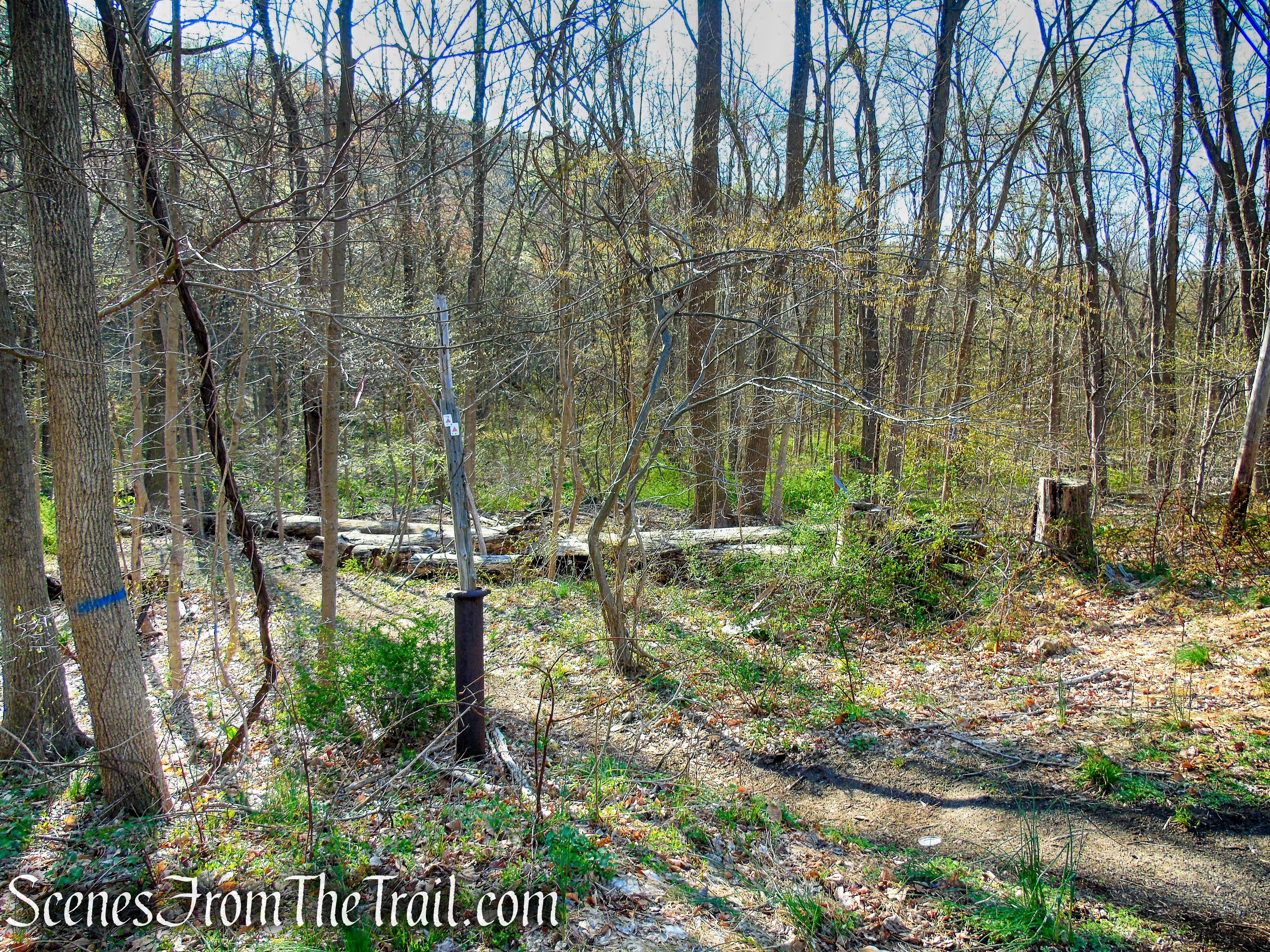 Stonetown Circular Trail - Windbeam Mountain