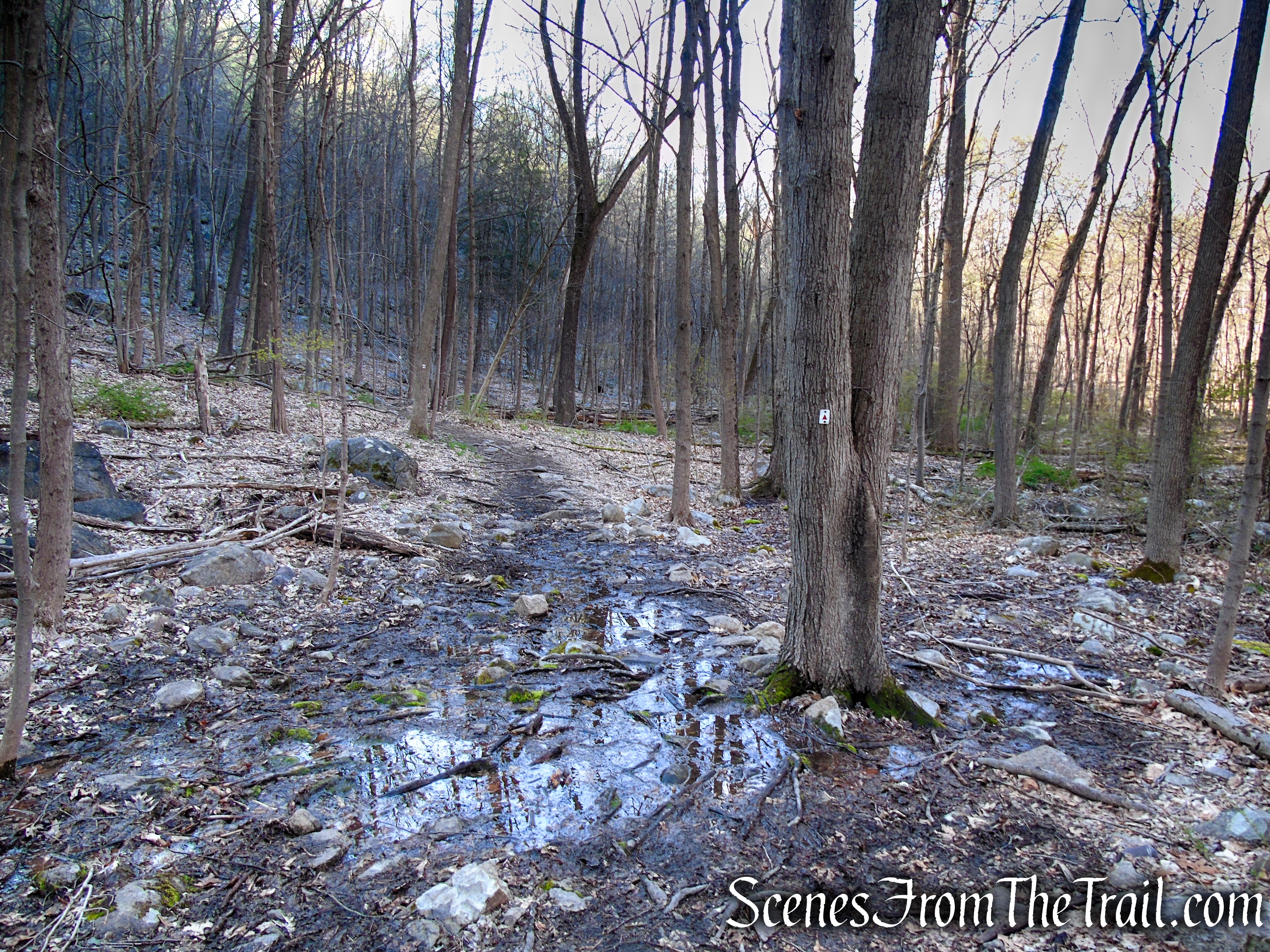 Stonetown Circular Trail - Windbeam Mountain