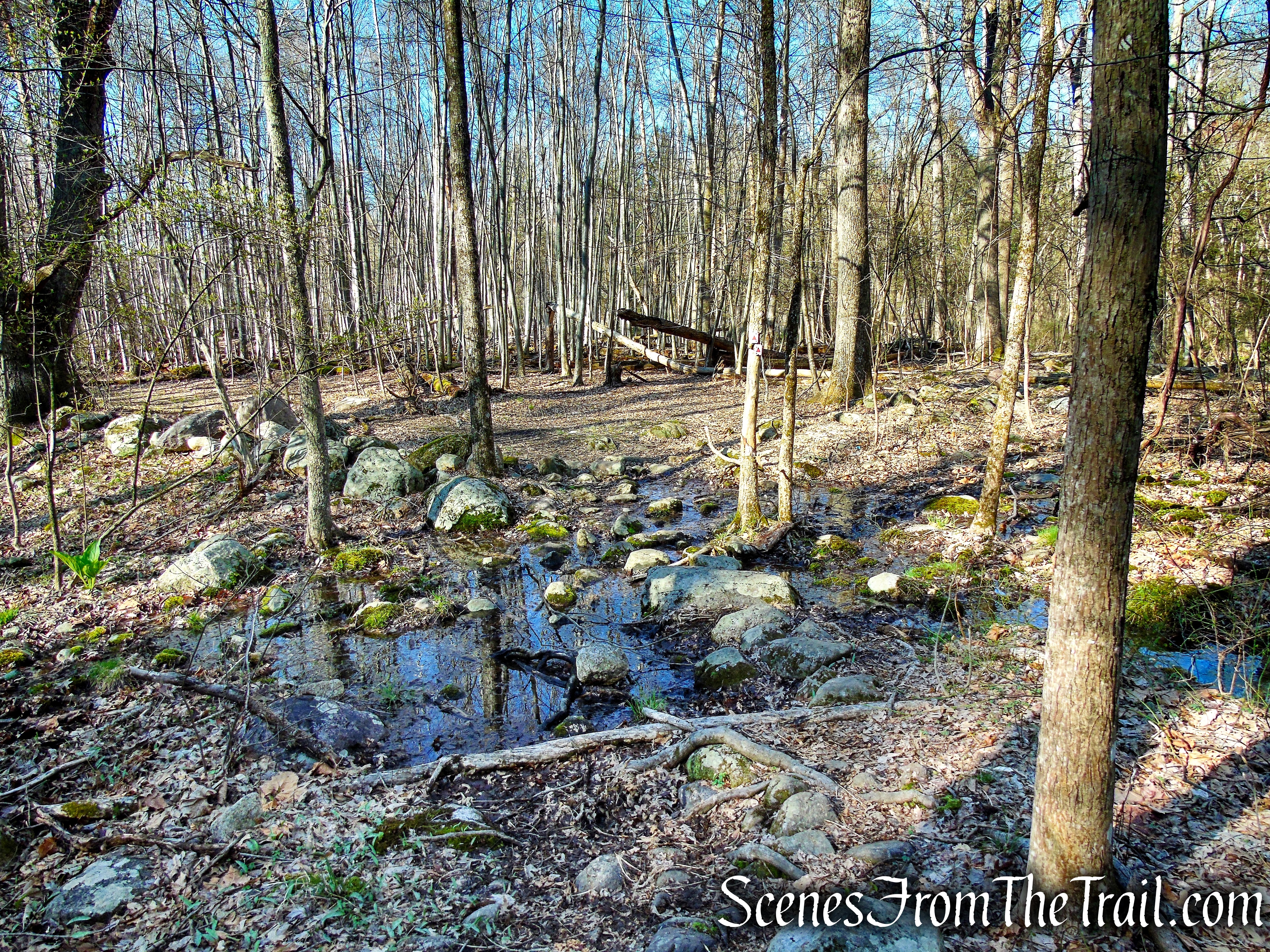 Stonetown Circular Trail - Windbeam Mountain
