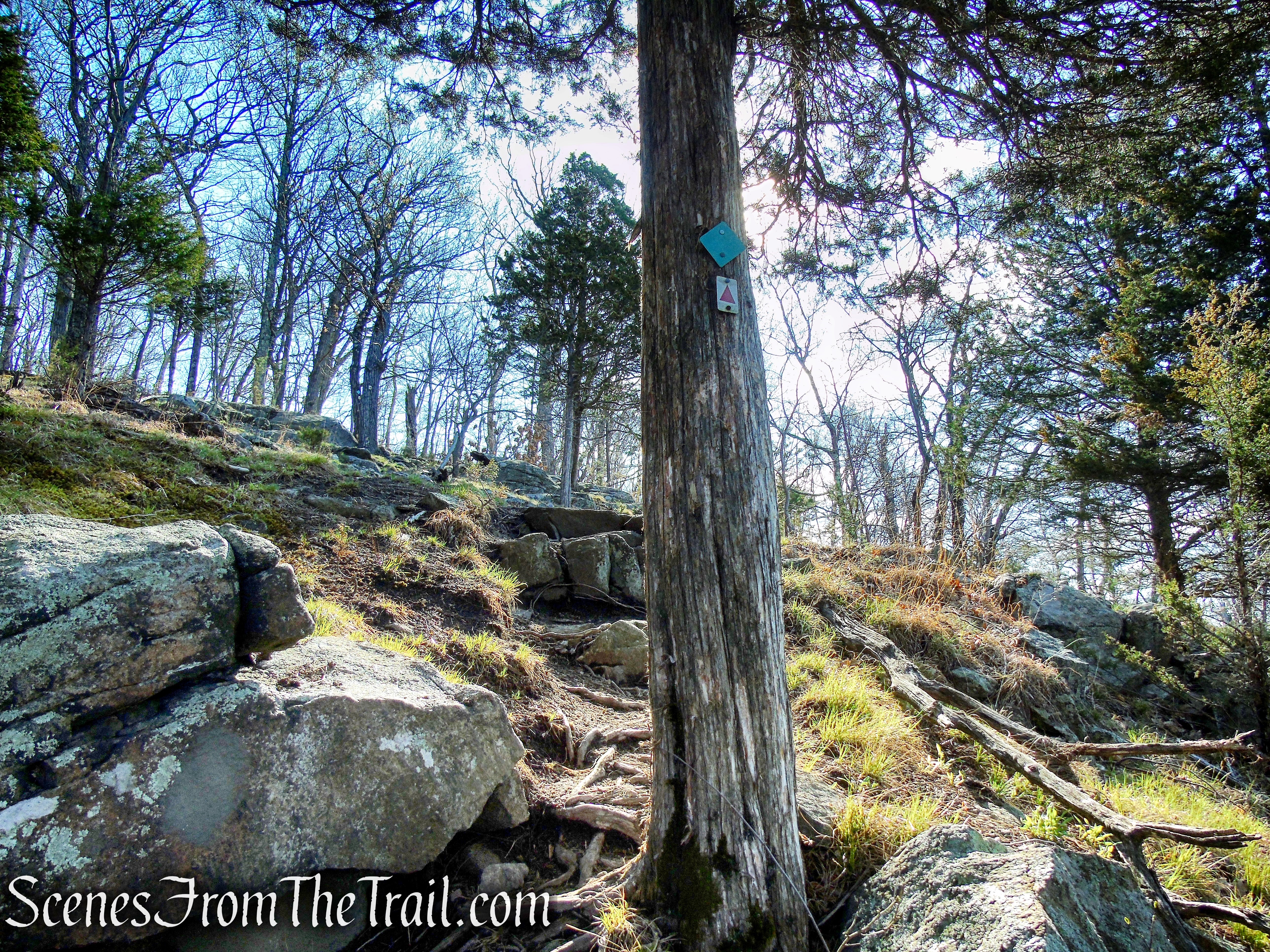 Stonetown Circular Trail – Little Windbeam