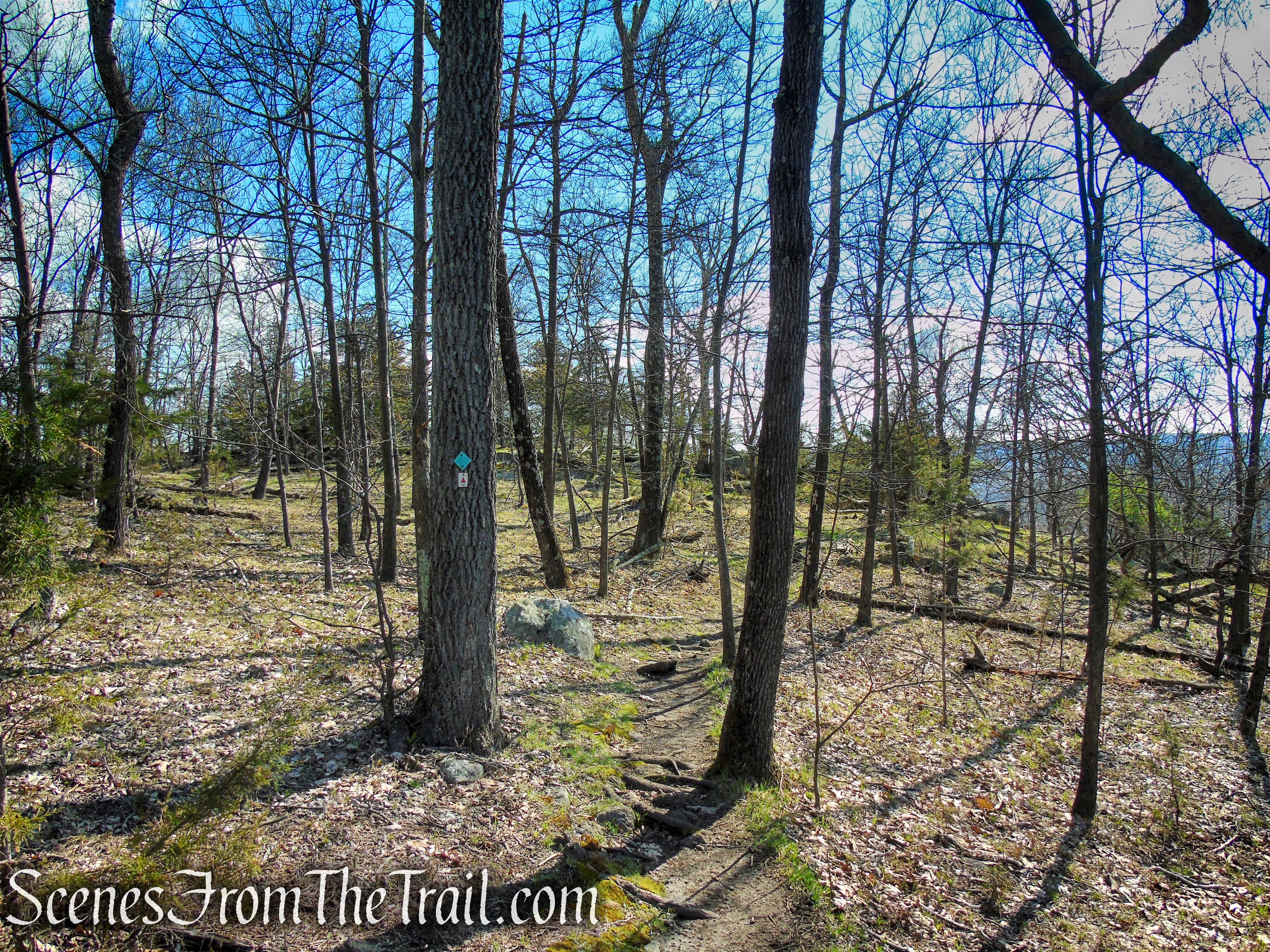 Stonetown Circular Trail – Little Windbeam