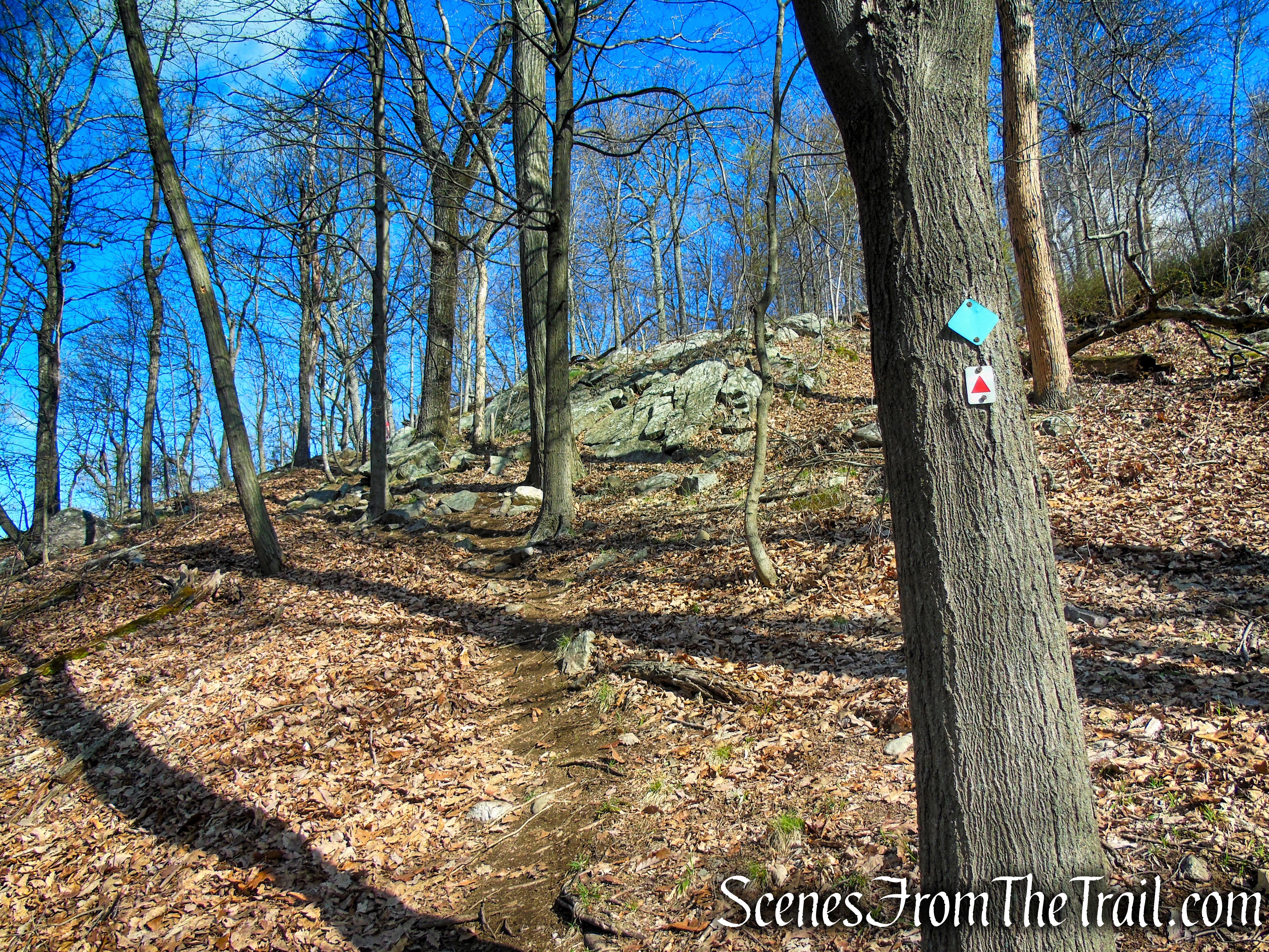 Stonetown Circular Trail – Windbeam Mountain