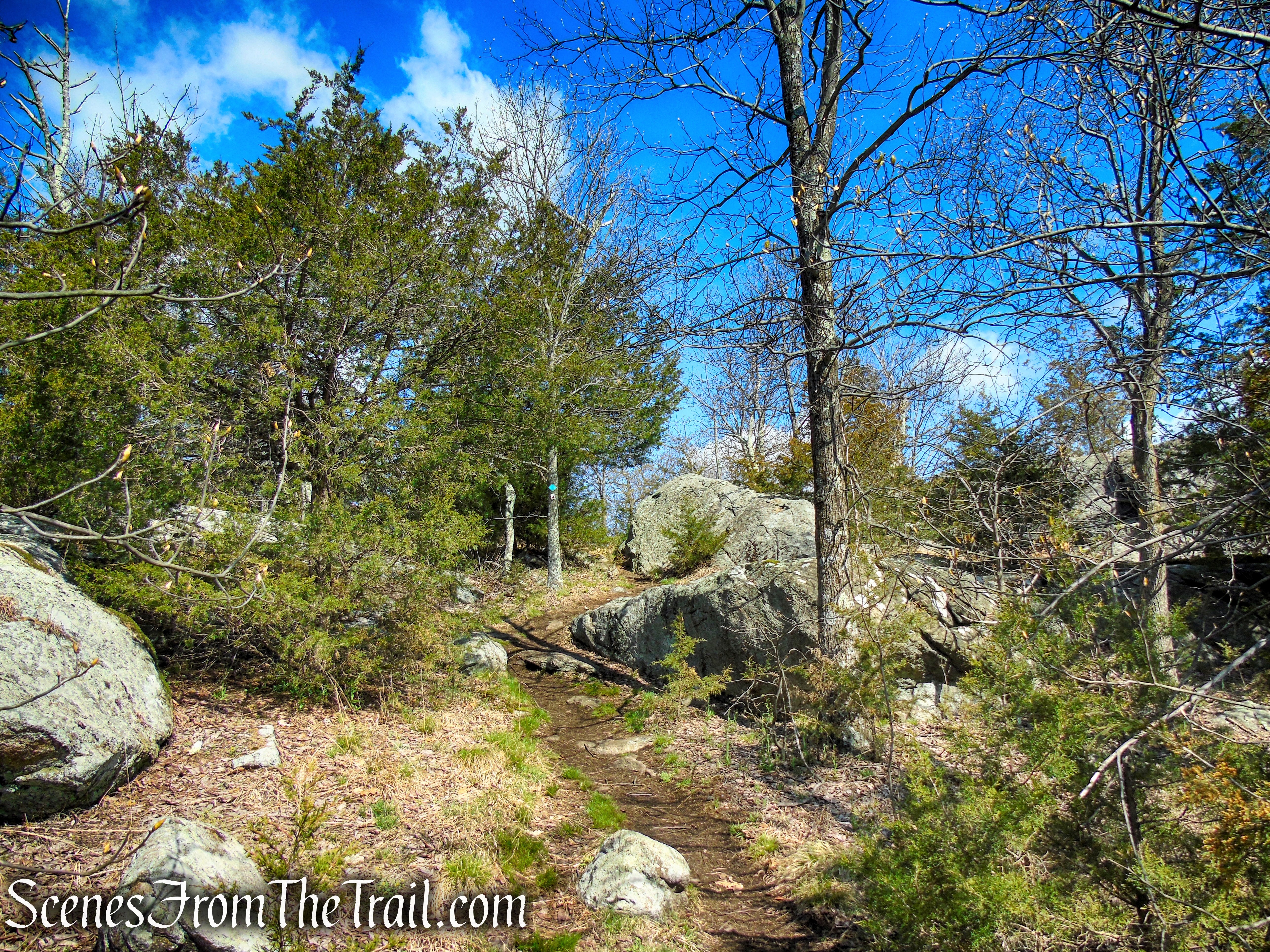 Stonetown Circular Trail – Windbeam Mountain