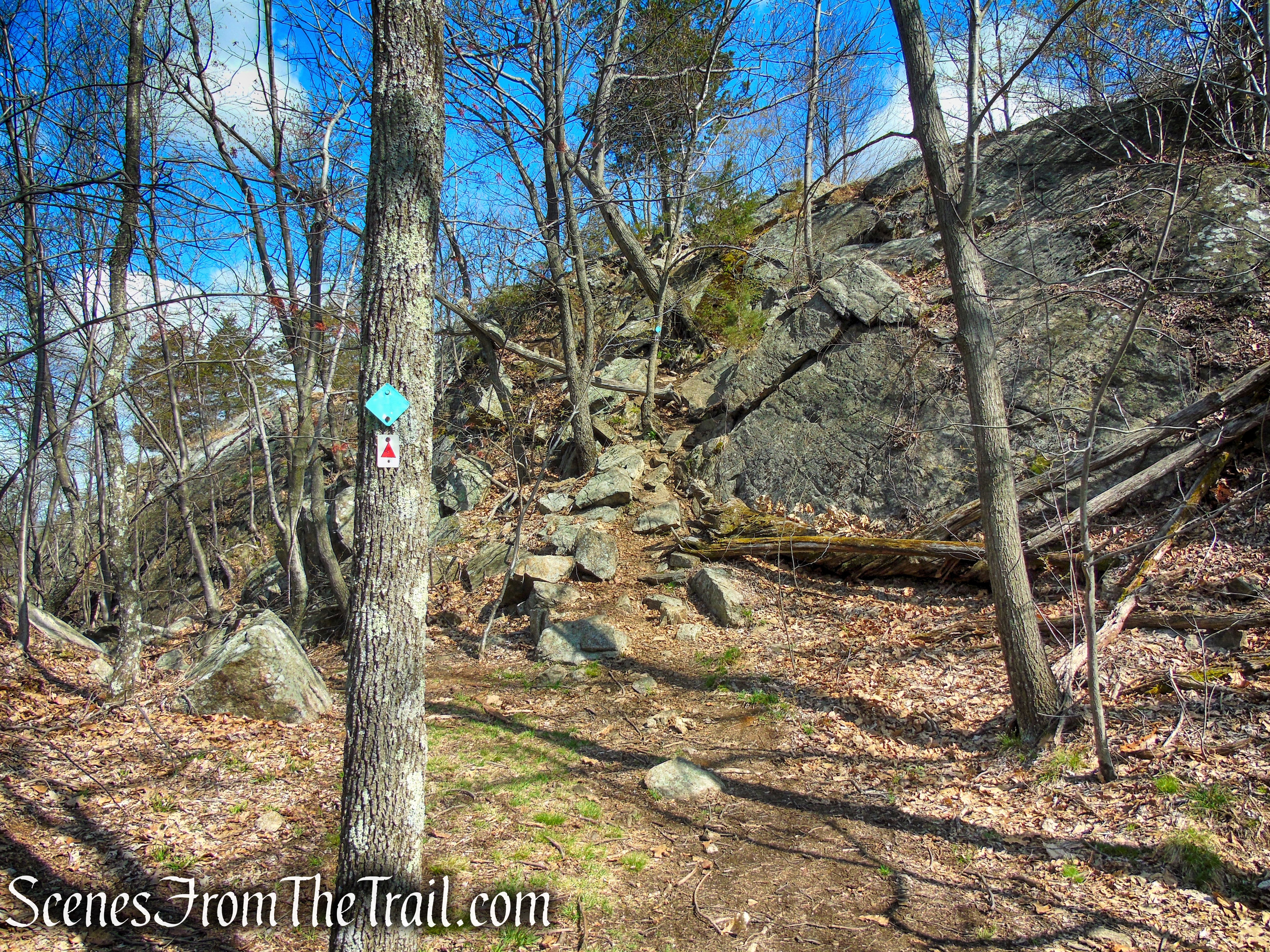 Stonetown Circular Trail – Windbeam Mountain