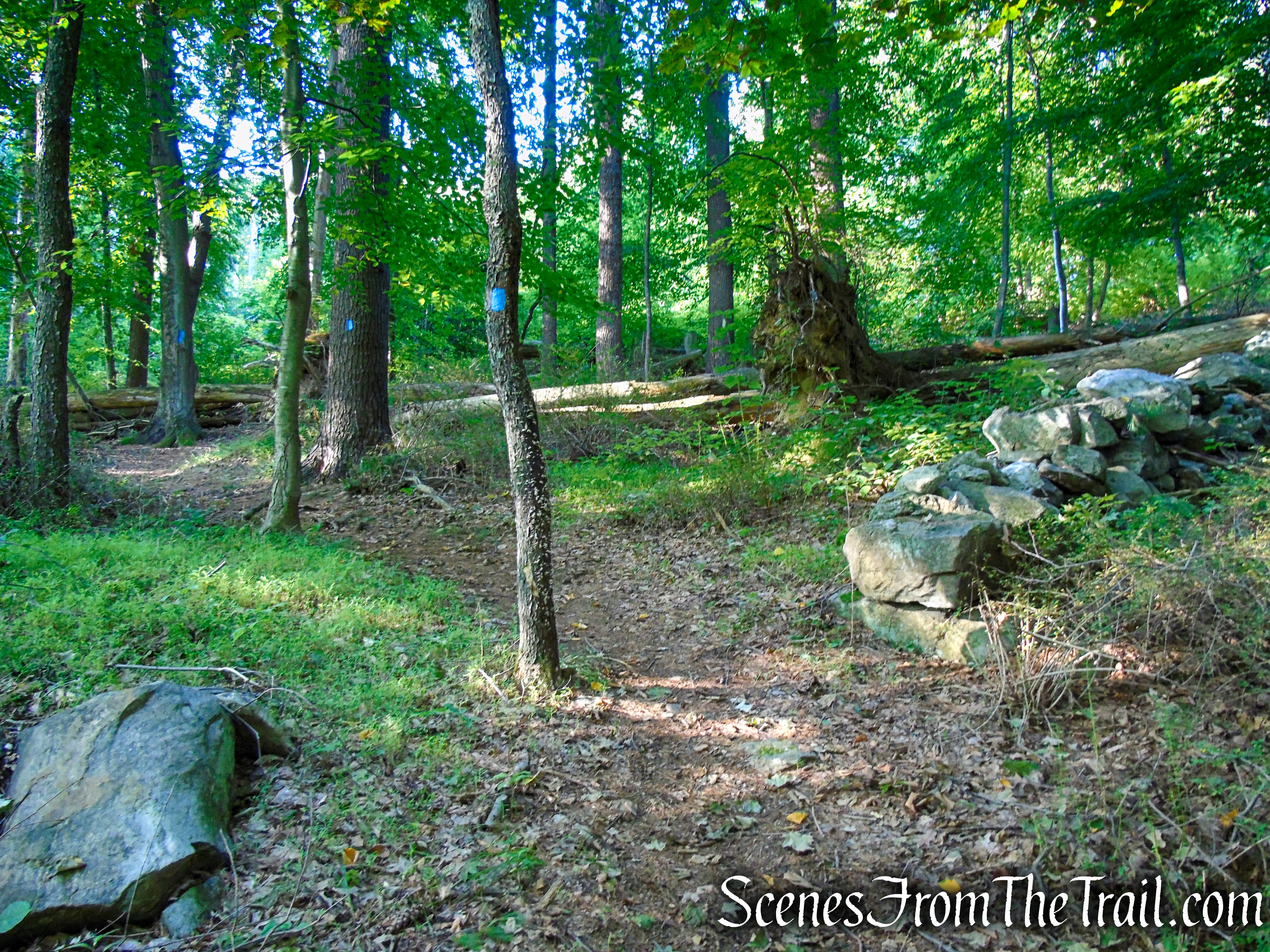 Blue Trail - Merestead