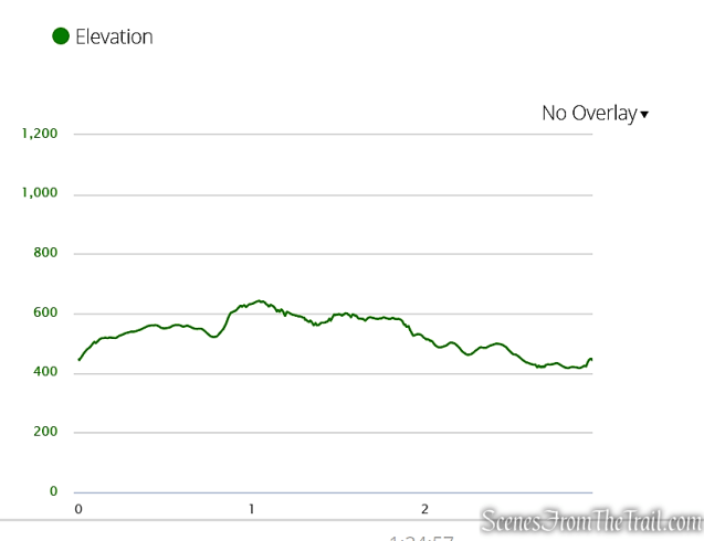 elevation profile - Crescent Lake