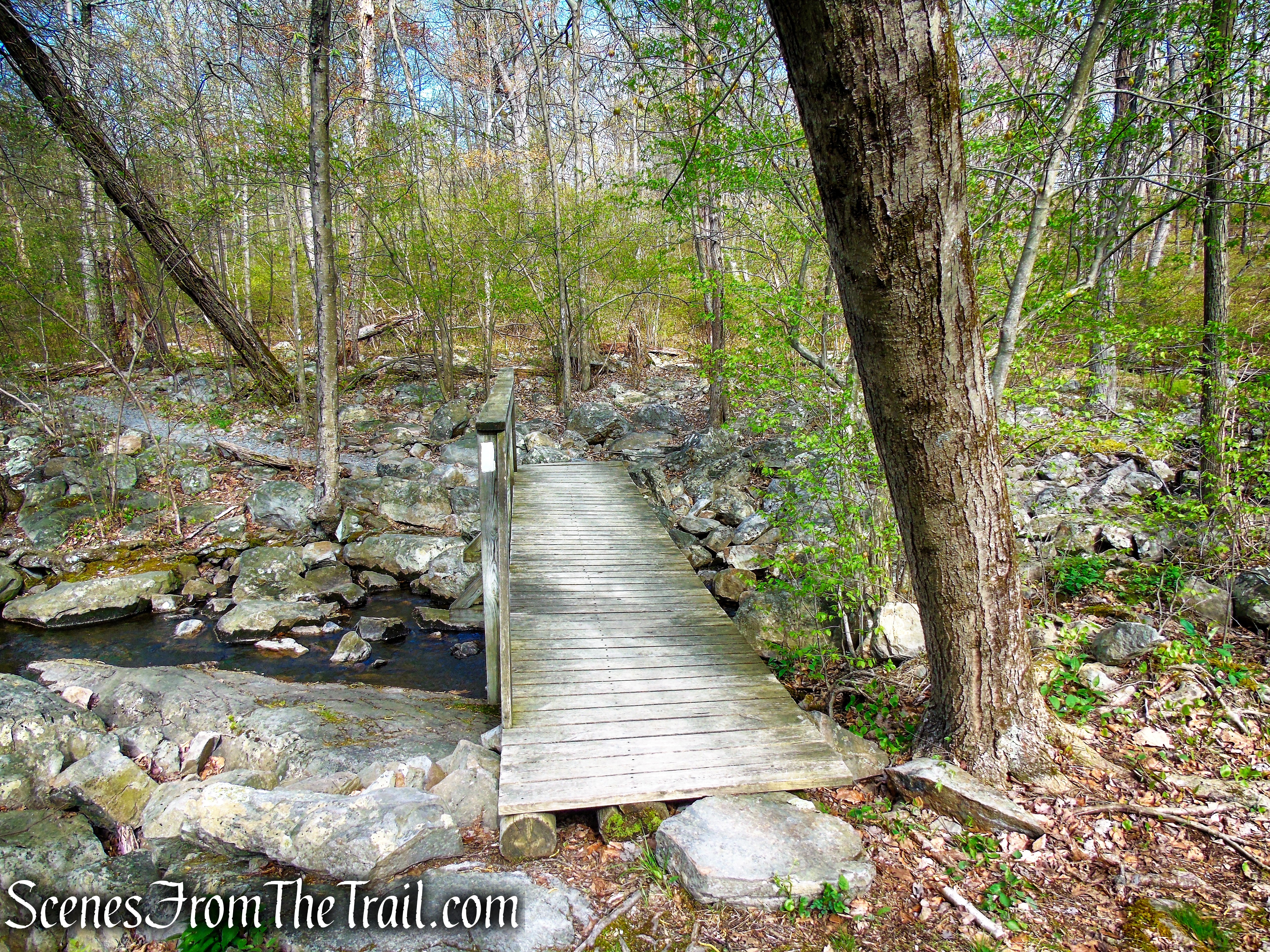 Appalachian Trail - Delaware Water Gap