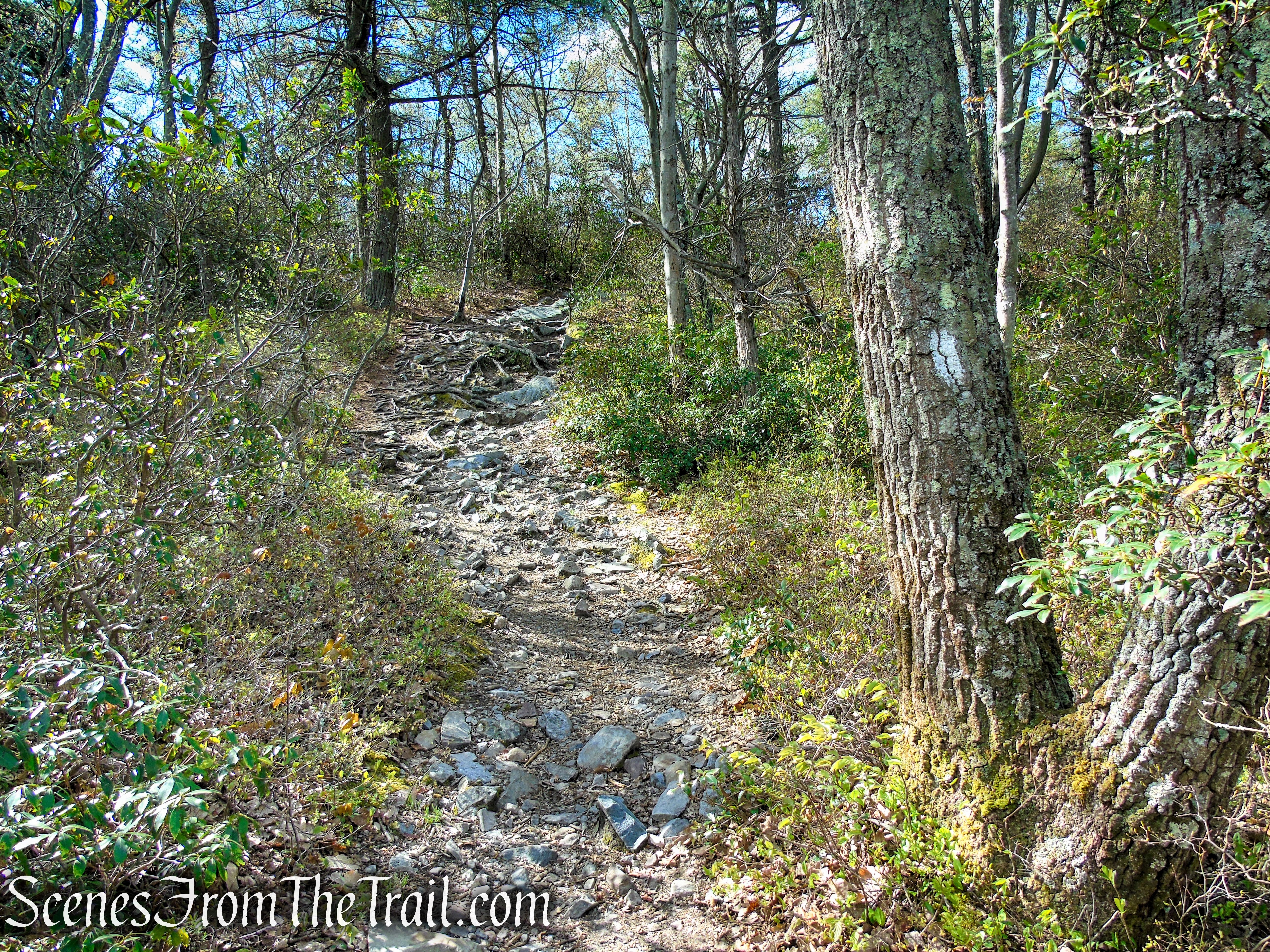 Appalachian Trail - Delaware Water Gap