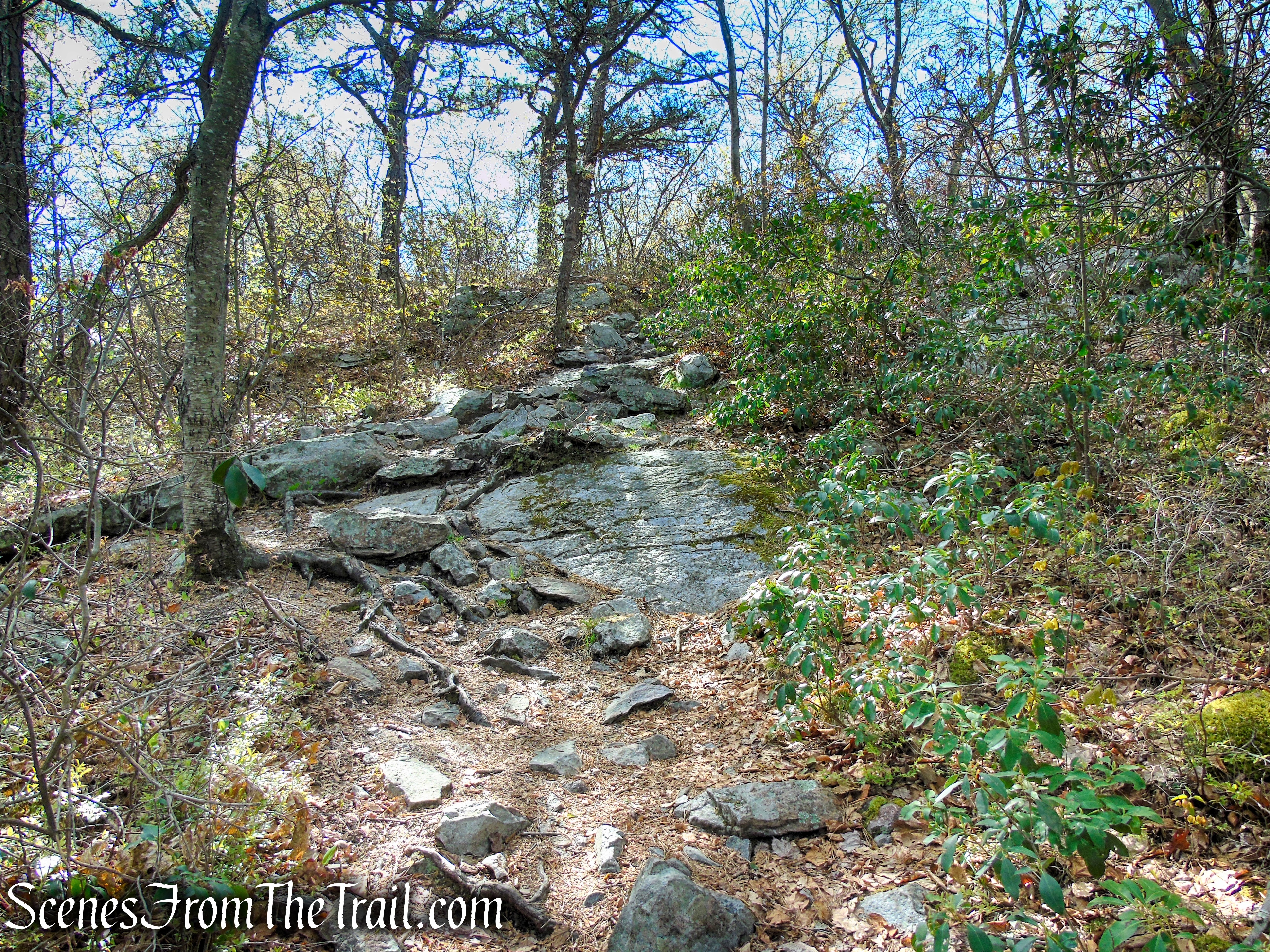 Appalachian Trail - Delaware Water Gap