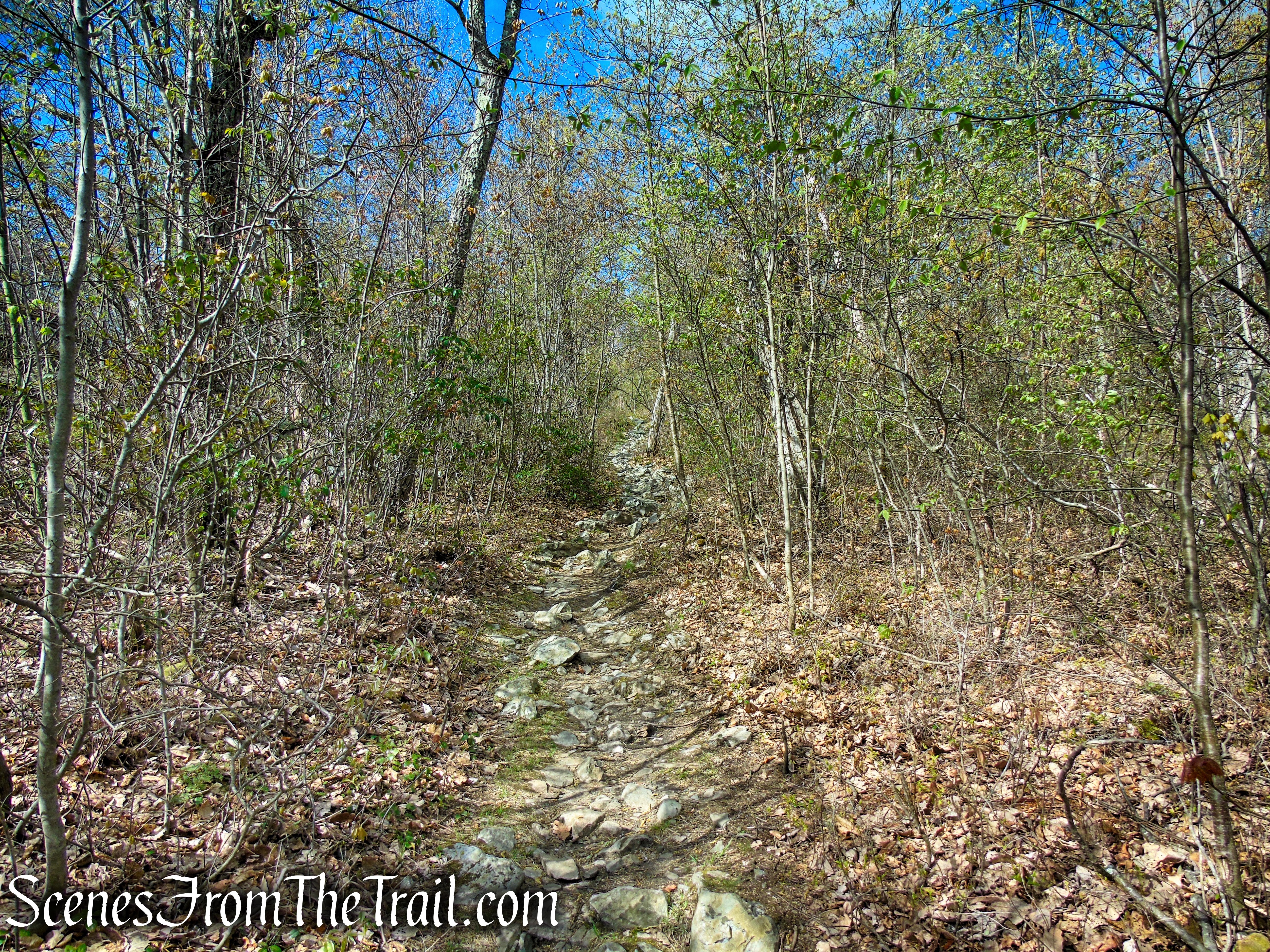 Appalachian Trail - Delaware Water Gap