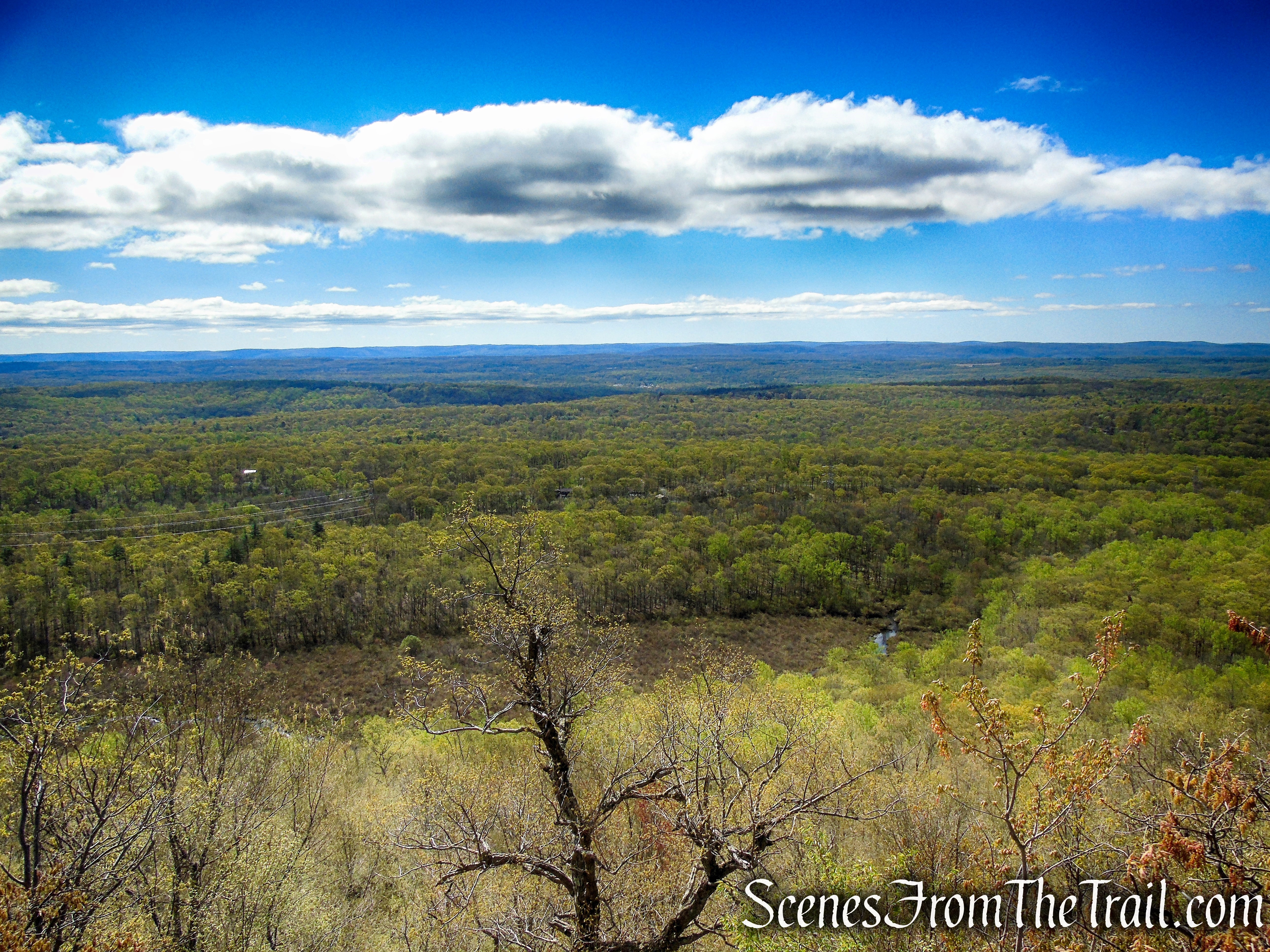view east - 1st viewpoint