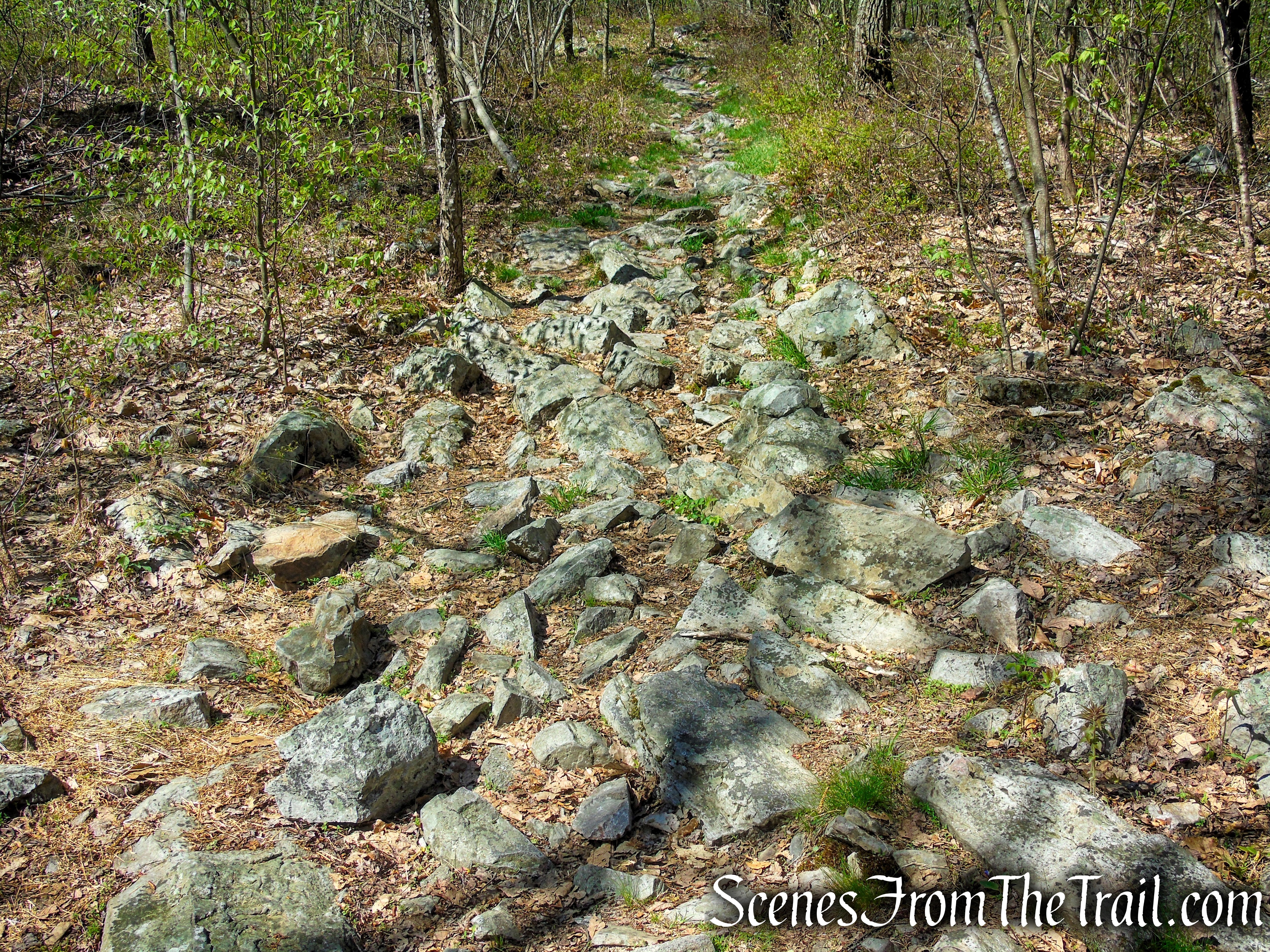Appalachian Trail - Mount Mohican