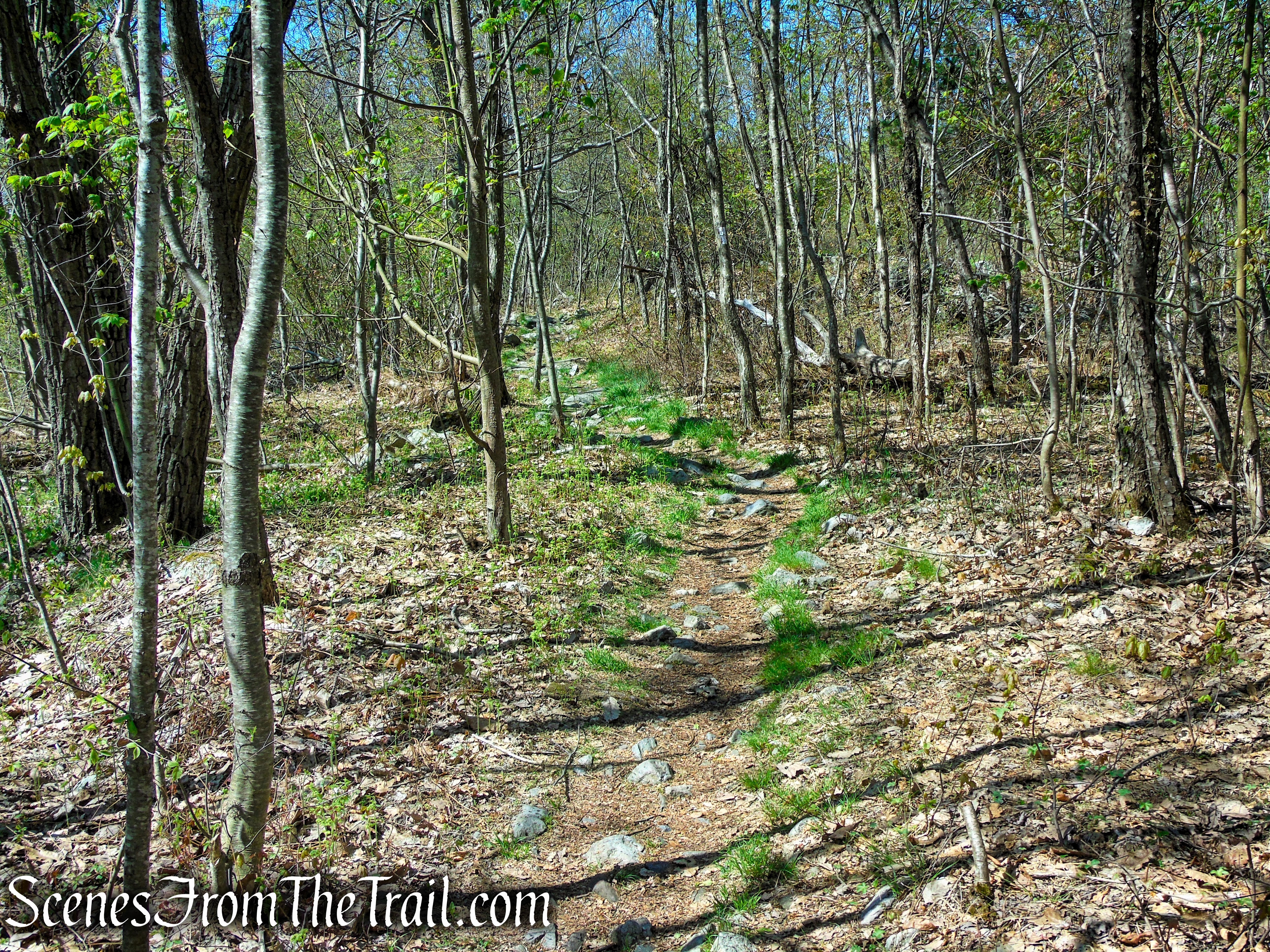 Appalachian Trail - Mount Mohican