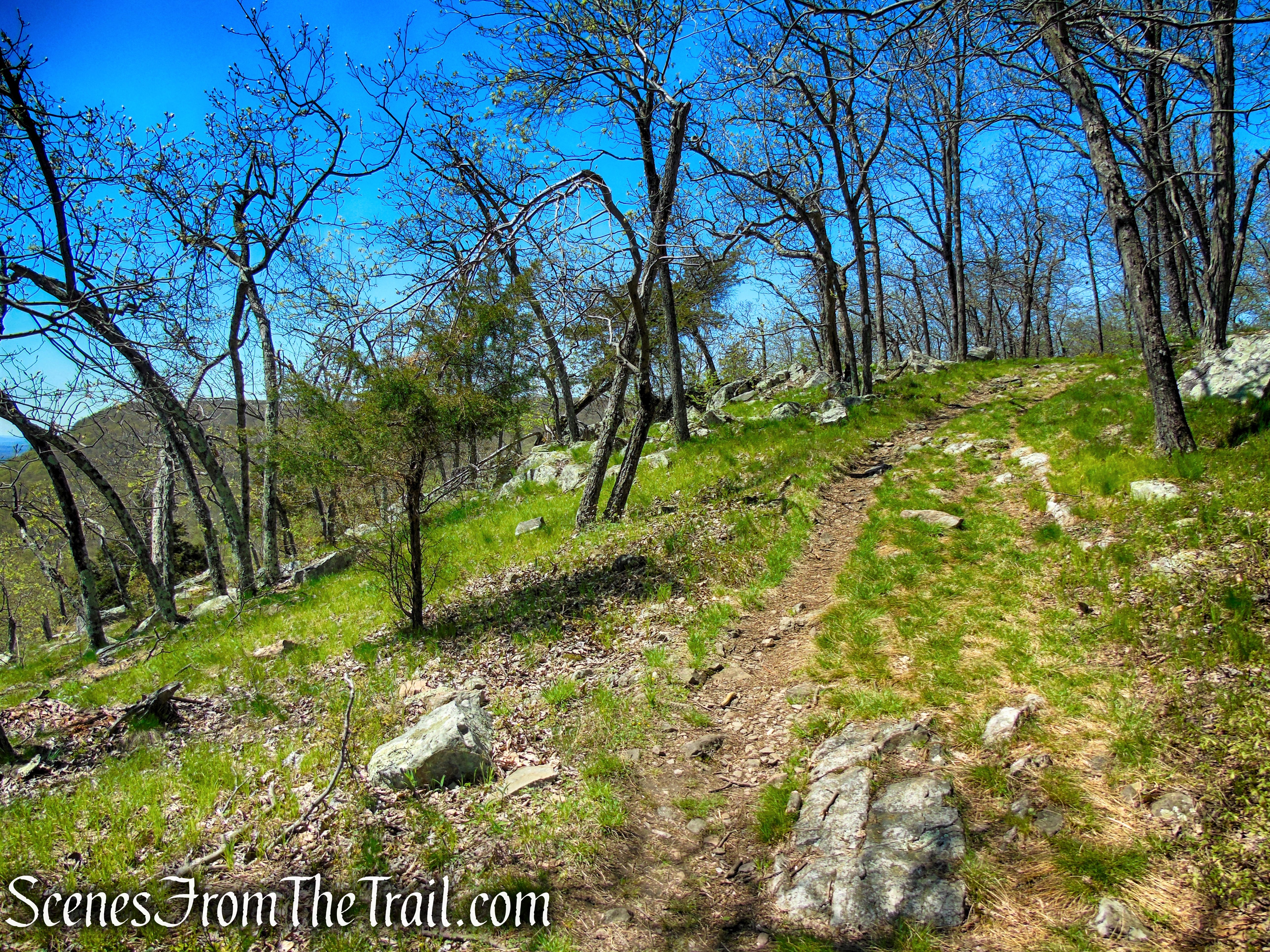 Appalachian Trail - Mount Mohican