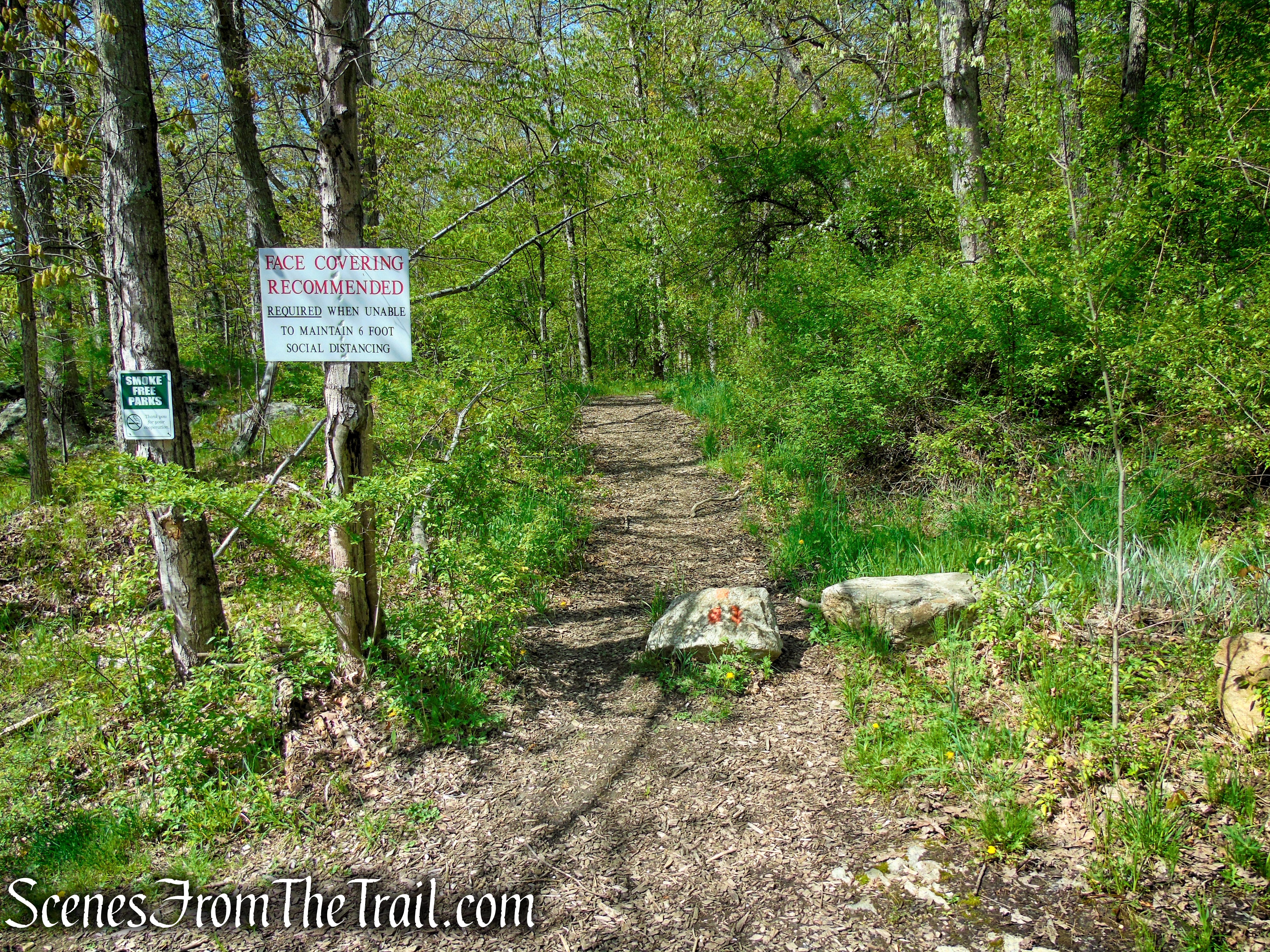 Orange Trail - Dater Mountain Nature Park