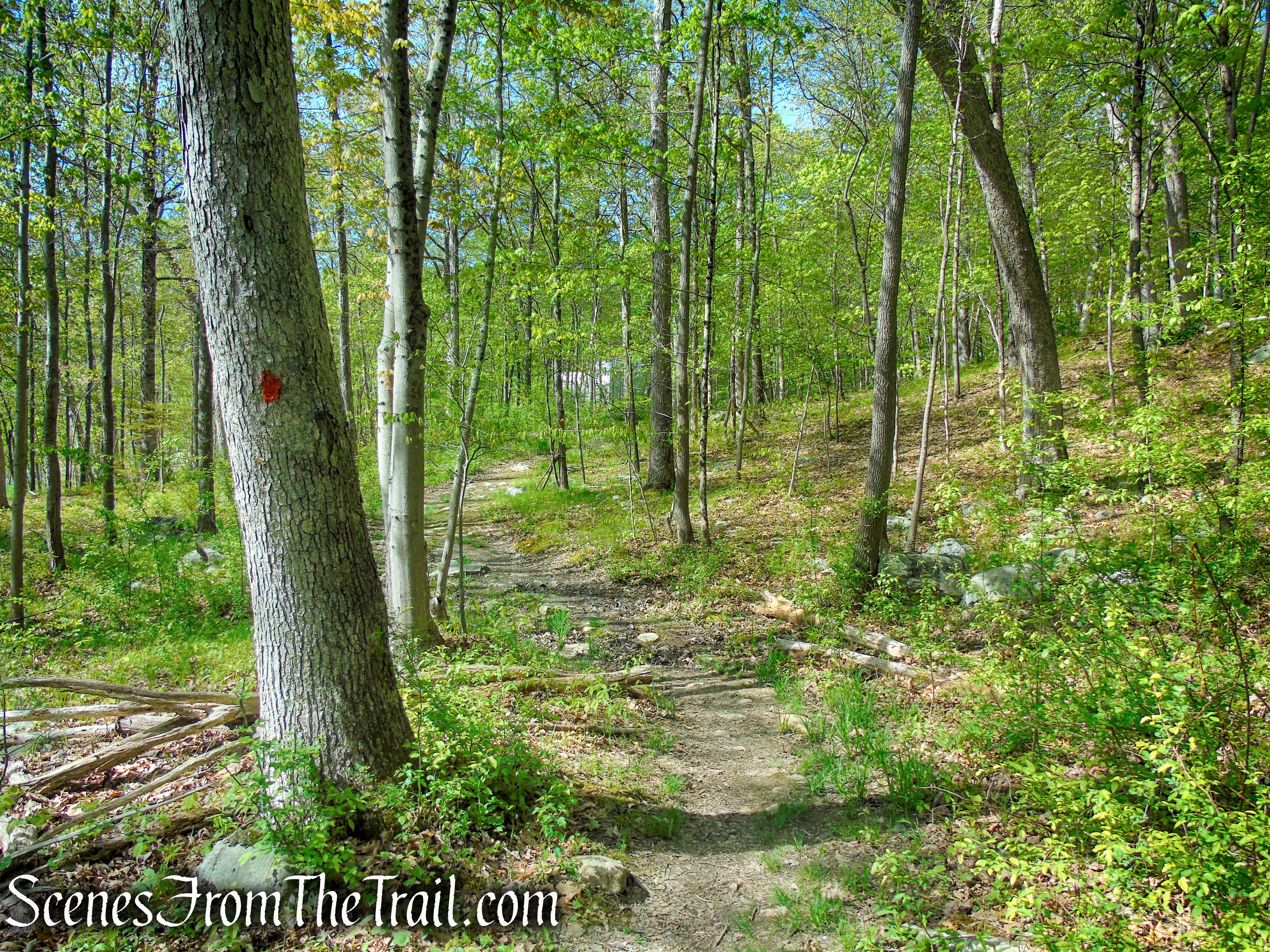Orange Trail - Dater Mountain Nature Park