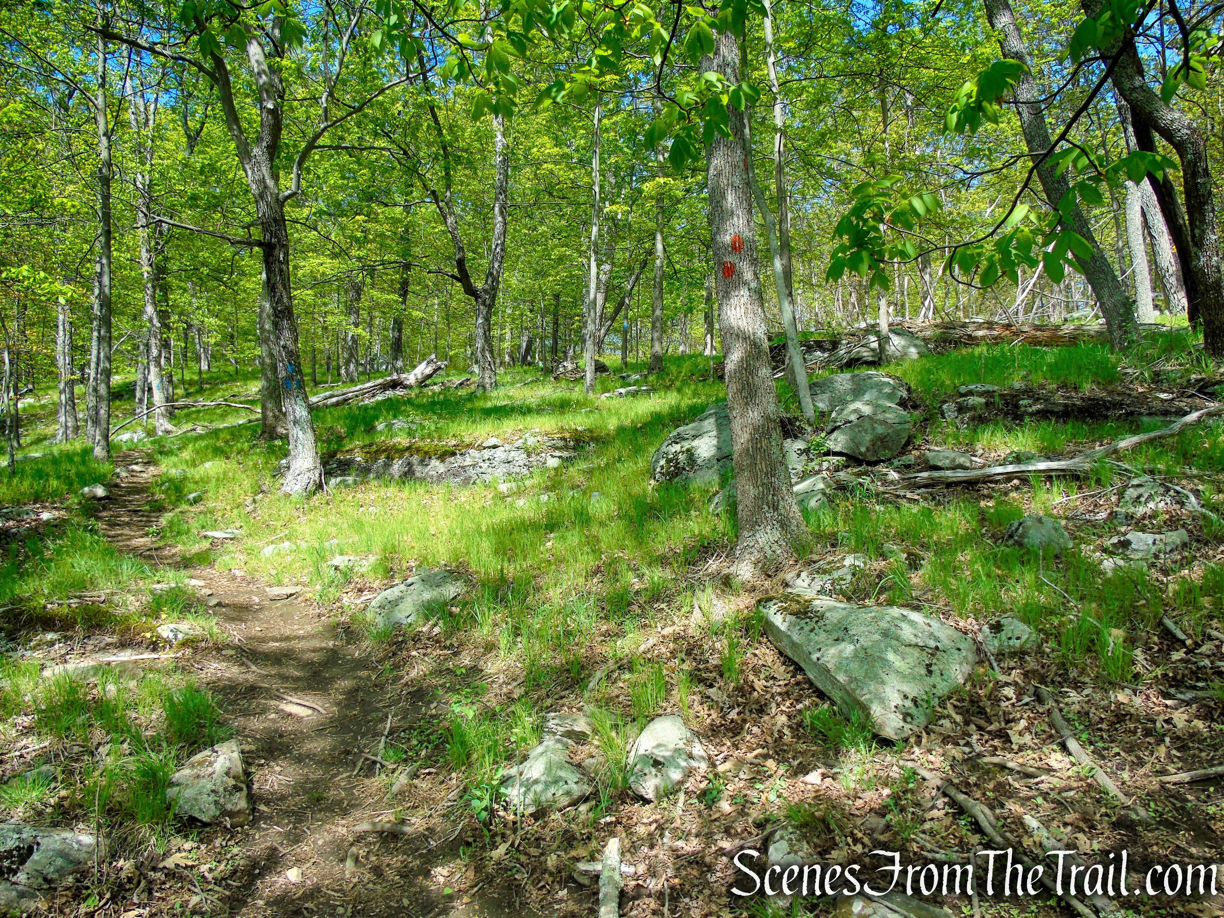 Orange Trail - Dater Mountain Nature Park